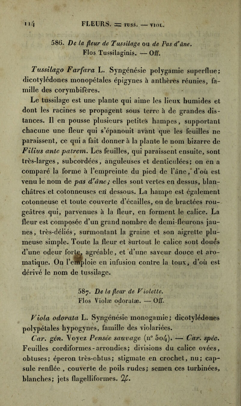 586. De la fleur de Tussilage ou de Pas d9âne. Flos Tussilaginis. — Off. Tussilago Farfara L. Syngénésie polygamie superflue; dicotylédones monopétales épigynes à anthères réunies, fa- mille des corymbifëres. Le tussilage est une plante qui aime les lieux humides et dont les racines se propagent sous terre à de grandes dis- tances. Il en pousse plusieurs petite^ hampes, supportant chacune une fleur qui s’épanouit avant que les feuilles ne paraissent, ce qui a fait donner à la plante le nom bizarre de Filius ante patrem. Les feuilles, qui paraissent ensuite, sont très-larges, subcordées, anguleuses et denticulées; on en a comparé la forme à l’empreinte du pied de l’âne, d’où est venu le nom de pas d’âne; elles sont vertes en dessus, blan- châtres et cotonneuses eri dessous. La hampe est également cotonneuse et toute couverte d’écailles, ou de bractées rou- geâtres qui, parvenues à la fleur, en forment le calice. La fleur est composée d’un grand nombre de demi-fleurons jau- nes, très-déliés, surmontant la graine et son aigrette plu- meuse simple. Toute la fleur et Surtout le calice sont doues d’une odeur forte^ agréable, et d’une saveur douce et aro- matique. On l’emploie en infusion contre la toux, d’où est dérivé le nom de tussilage. 687. De la fleur de Violette. Flos Violæ odoralæ. — Off. Viola odorala L. Syngénésie monogamie; dicotylédones polypétales hypogynes, famille des violariées. Car. gén. Voyez Pensée sauvage (n° 5o4). — Car. spcc. Feuilles cordiformes-arrondies; divisions du calice ovées, obtuses; éperon très-obtus; stigmate en crochet, nu; cap- sule renflée , couverte de poils rudes; semen ces turbinées., blanches; jets flagelliformes. 2^. (