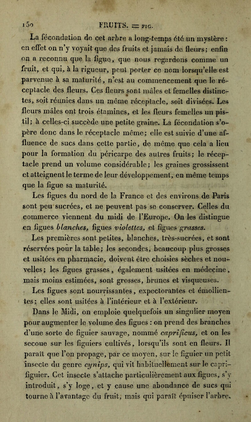 La fécondation de oet arbre a long-temps été un mystère : en effet on n’y voyait que des fruits et jamais de fleurs ; enfin on a reconnu que la figue, que nous regardons comme un fruit, et qui, à la rigueur, peut porter ce nom lorsqu’elle est parvenue à sa maturité, n’est au commencement que le ré- ceptacle des fleurs. Ces fleurs sont mâles et femelles distinc- tes, soit réunies dans un même réceptacle, soit divisées. Les fleurs mâles ont trois étamines, et les fleurs femelles un pis- til; à celles-ci succède une petite graine. La fécondation s’o- père donc dans le réceptacle même; elle est suivie d’une af- fluence de sucs dans cette partie, de même que cela a lieu pour la formation du péricarpe des autres fruits; le récep- tacle prend un volume considérable; les graines grossissent et atteignent le terme de leur développement, en même temps que la figue sa maturité. Les figues du nord de la France et des environs de Paris sont peu sucrées, et ne peuvent pas se conserver. Celles du commerce viennent du midi de l’Europe. On les distingue en figues blanches, figues violettes, et figues grasses. Les premières sont petites, blanches, très-sucrées, et sont réservées pour la table ; les secondes, beaucoup plus grosses et usitées en pharmacie, doivent être choisies sèches et nou- velles ; les figues grasses, également usitées en médecine, mais moins estimées, sont grosses, brunes et visqueuses. Les figues sont nourrissantes, expectorantes et émollien- tes; elles sont usitées à l’intérieur et à l’extérieur. Dans le Midi, on emploie quelquefois un singulier moyen pour augmenter le volume des figues : on prend des branches d’une sorte de figuier sauvage, nommé caprificus, et on les secoue sur les figuiers cultivés, lorsqu’ils sont en fleurs. Il paraît que l’on propage, par ce moyen, sur le figuier un petit insecte du genre cynips, qui vit habituellement sur le capri- figuier. Cet insecte s’attache particulièrement aux figues, s’y introduit, s’y loge, et y cause une abondance de sucs qui tourne h l’avantage du fruit, mais qui parait épuiser l’arbre.