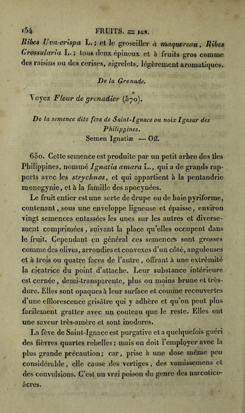 Bibes Uva-ci'ispa L. ; et le groseiller à maquereau, Bibes Gros salaria L. ; tous deux épineux et à fruits gros comme des raisins ou des cerises, aigrelets, légèrement aromatiques. De la Grenade. Voyez Fleur de grenadier (570). De la semence dite fève de Saint-Ignace ou noix Igasur des Philippines. Semen Ignatiæ — Gff. 65o. Cette semence est produite par un petit arbre des îles Philippines, nommé Ignatia amara L., qui a de grands rap- ports avec les strychnos, et qui appartient à la pentandrie monogynie, et à la famille des apocynées. Le fruit entier est une sorte de drupe ou de baie pyriforme, contenant, sous une enveloppe ligneuse et épaisse, environ vingt semences entassées les unes sur les autres et diverse- ment comprimées, suivant la place qu’elles occupent dans le fruit, Cependant en général ces semences sont grosses comme des olives, arrondies et convexes d’un côté, anguleuses et à trois ou quatre faces de l’autre, offrant à une extrémité la cicatrice du point d’attache. Leur substance intérieure est cornée, demi-transparente, plus ou moins brune et très- dure. Elles sont opaques à leur surface et comme recouvertes d’une efflorescence grisâtre qui y adhère et qu’on peut plus facilement gratter avec un couteau que le reste. Elles ont une saveur très-amère et sont inodores. La fève de Saint-Ignace est purgative et a quelquefois guéri des fièvres quartes rebelles ; mais on doit l’employer avec la plus grande précaution; car, prise h une dose même peu considérable, elle cause des vertiges, des vomissemens et des convulsions. C’est un vrai poison du genre des narcotico- âcres.