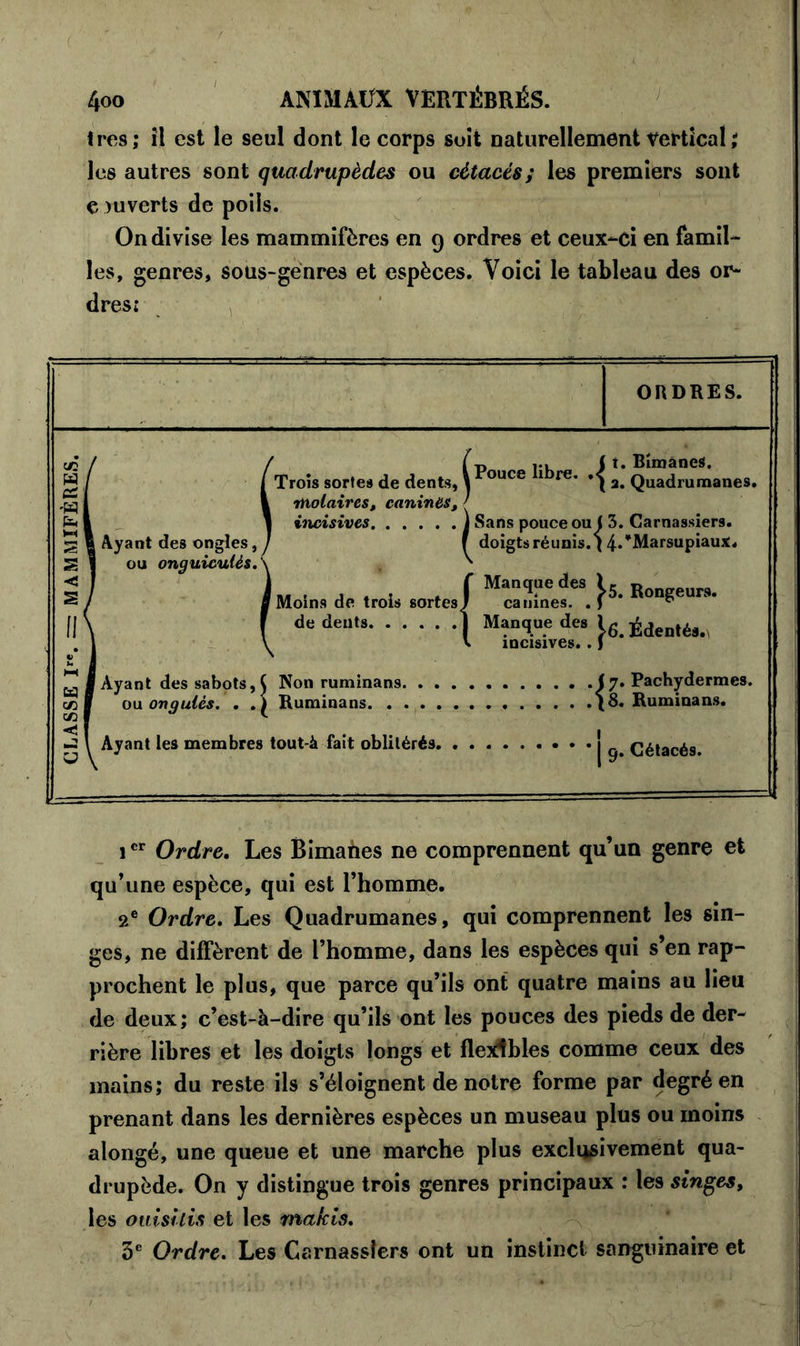 très; il est le seul dont le corps suit naturellement vertical ; les autres sont quadrupèdes ou cétacés; les premiers sont e ni verts de poils. On divise les mammifères en 9 ordres et ceux-ci en famil- les, genres, sous-genres et espèces. Voici le tableau des or- dres: ORDRES. ((t, ( t. Bimanes. Trois sortes de dents, 1 ouce 1 re' * ( a. Quadrumanes. molaires, canines, / incisives J Sans pouce ou ( 3. Carnassiers. f doigts réunis. ( 4»*Marsupiaux. ou onguiculés. \ ' JM . . , . . f Manque des U R urs. s Moins de trois sortes/ canines. . ) p I de dents | Manque des Ig. Édenté.. \ v incisives.. J Ayant des sabots,^ Non ruminans (7. Pachydermes. ou ongulés. . .) Ruminans {8. Ruminans. Ayant les membres tout-à fait oblitérés j ^ Cétacés. icr Ordre, Les Bimanes ne comprennent qu’un genre et qu’une espèce, qui est l’homme. 2e Ordre. Les Quadrumanes, qui comprennent les sin- ges, ne diffèrent de l’homme, dans les espèces qui s’en rap- prochent le plus, que parce qu’ils ont quatre mains au lieu de deux; c’est-à-dire qu’ils ont les pouces des pieds de der- rière libres et les doigts longs et flexibles comme ceux des mains; du reste ils s’éloignent de notre forme par degré en prenant dans les dernières espèces un museau plus ou moins alongé, une queue et une marche plus exclusivement qua- drupède. On y distingue trois genres principaux : les singes, les ouisilis et les makis. 5e Ordre. Les Carnassiers ont un instinct sanguinaire et