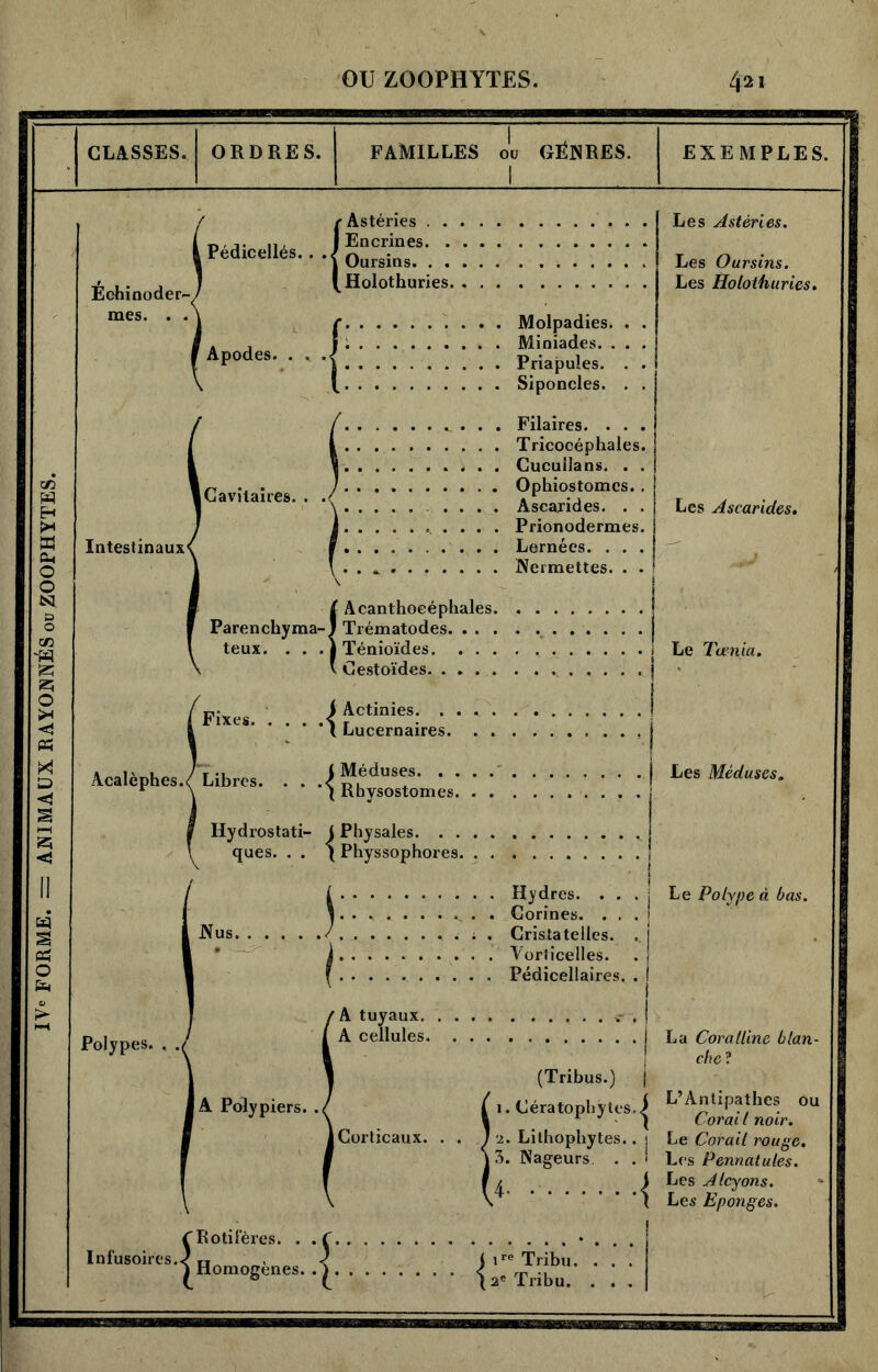 CLASSES. ORDRES. I FAMILLES du GÉNRES I I EXEMPLES, Éehinoder-v mes. . (Astéries . . : Holothuries. Apodes. . . . Cavitaires. . Intestinaux^ Molpadies. . . Miniades. . . . Priapuîes. . . Siponcles. . . Filaires. . . . Tricocéphales. Cucuilans. . . Ophiostomcs. . Ascarides. . . Prionodermes. Lernées. . . . Permettes. . . Les Astéries. Les Oursins. Les Holothuries. f Acanthoeéphales. Parenchyma-1 Trématodes. . . . teux. Fixes. . ! Ténioïdes. v Cestoïdes. J Actinies. . ‘1 Lucernaires. Acalèphes./ Libres. I Méduses. . . 'X Rhysostomes. Hydrostati- l Physales. . . ques. . . \ Physsophores. 1 Hydres. . . 1 . Corines. . . Nus ; . Cristatelles. 1 Vorticelles. f Pédicellaires. Polypes. A tuyaux. A cellules. A Polypi< I Corticaux. (Tribus.) j 1. Cératophÿtes.^ ■2. Lithophytes.. 1 3. Nageurs . . » 1 1 Les Ascarides• Le Tamia. Les Méduses. Le Polype à bas. La Coratlinc blan- che? L’Antipathes ou Corail noir. Le Corail rouge. Les Pennatules. Les Alcyons. Les Eponges. Infusoires fRotilëres. . 4 Homogènes. .4 . t ire Tribu. I 2e Tribu.