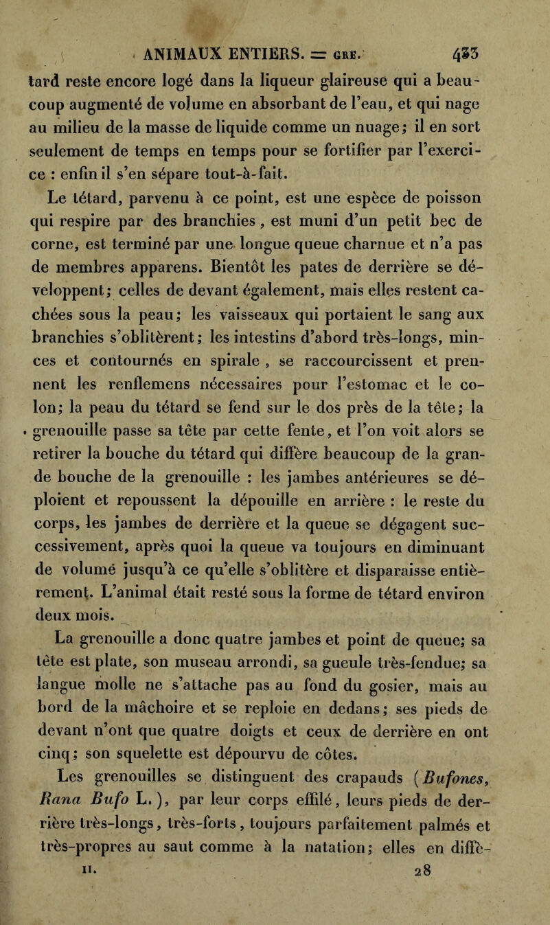 tard reste encore logé dans la liqueur glaireuse qui a beau- coup augmenté de volume en absorbant de l’eau, et qui nage au milieu de la masse de liquide comme un nuage; il en sort seulement de temps en temps pour se fortifier par l’exerci- ce : enfin il s’en sépare tout-à-fait. Le têtard, parvenu à ce point, est une espèce de poisson qui respire par des branchies, est muni d’un petit bec de corne, est terminé par une. longue queue charnue et n’a pas de membres apparens. Bientôt les pâtes de derrière se dé- veloppent; celles de devant également, mais elles restent ca- chées sous la peau; les vaisseaux qui portaient le sang aux branchies s’oblitèrent; les intestins d’abord très-longs, min- ces et contournés en spirale, se raccourcissent et pren- nent les renilemens nécessaires pour l’estomac et le co- lon; la peau du têtard se fend sur le dos près de la tête; la • grenouille passe sa tête par cette fente, et l’on voit alors se retirer la bouche du têtard qui diffère beaucoup de la gran- de bouche de la grenouille : les jambes antérieures se dé- ploient et repoussent la dépouille en arrière : le reste du corps, les jambes de derrière et la queue se dégagent suc- cessivement, après quoi la queue va toujours en diminuant de volume jusqu’à ce qu’elle s’oblitère et disparaisse entiè- rement. L’animal était resté sous la forme de têtard environ deux mois. La grenouille a donc quatre jambes et point de queue; sa tête est plate, son museau arrondi, sa gueule très-fendue; sa langue molle ne s’attache pas au fond du gosier, mais au bord de la mâchoire et se reploie en dedans; ses pieds de devant n’ont que quatre doigts et ceux de derrière en ont cinq; son squelette est dépourvu de côtes. Les grenouilles se distinguent des crapauds ( Bufones, Rana Bufo L. ), par leur corps effilé, leurs pieds de der- rière très-longs, très-forts, toujours parfaitement palmés et très-propres au saut comme à la natation ; elles en diffè- 28 11.