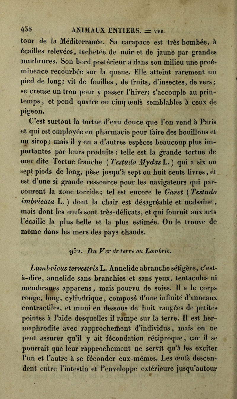 tour de la Méditerranée. Sa carapace est très-bombée, à écailles relevées, tachetée de noir et de jaune par grandes marbrures. Son bord postérieur a dans son milieu une proé- minence recourbée sur la queue. Elle atteint rarement un pied de long; vit de feuilles , de fruits, d’insectes, devers; se creuse un trou pour y passer l’hiver; s’accouple au prin- temps , et pond quatre ou cinq œufs semblables à ceux de pigeon. C’est surtout la tortue d’eau douce que l’on vend à Paris et qui est employée en pharmacie pour faire des bouillons et un sirop; mais il y en a d’autres espèces beaucoup plus im- portantes par leurs produits : telle est la grande tortue de mer dite Tortue franche ( Testudo Mydas L.) qui a six ou sept pieds de long, pèse jusqu’à sept ou huit cents livres, et est d’une si grande ressource pour les navigateurs qui par- courent la zone torride; tel est encore le Caret ( Testudo imbricata L. ) dont la chair est désagréable et malsaine, mais dont les œufs sont très-délicats, et qui fournit aux arts l’écaille la plus belle et la plus estimée. On le trouve de même dans les mers des pays chauds. 962. Du Ver de terre ou Lombric. Lumbricus lerrestris L. Annelide abranche sétigère, c’est- à-dire, annelide sans branchies et sans yeux, lentacules ni membranes apparens, mais pourvu de soies. Il a le corps rouge, long, cylindrique , composé d’une infinité d’anneaux contractiles, et muni en dessous de huit rangées de petites pointes à l’aide desquelles il rampe sur la terre. Il est her- maphrodite avec rapprochement d’individus, mais on ne peut assurer qu’il y ait fécondation réciproque, car il se pourrait que leur rapprochement ne servît qu’à les exciter l’un et l’autre à se féconder eux-mêmes. Les œufs descen- dent entre l’intestin et l’enveloppe extérieure jusqu’autour