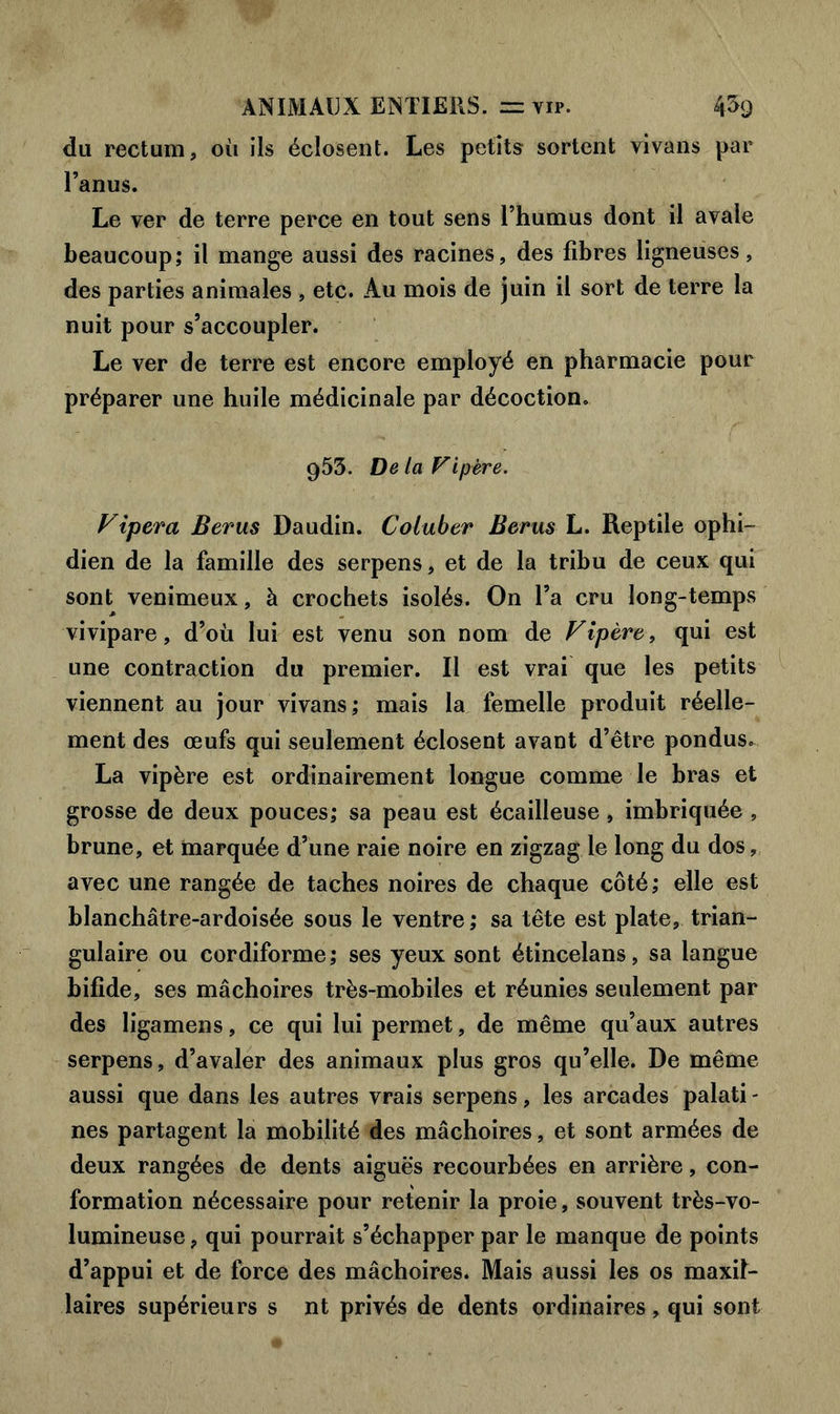 du rectum, où ils éclosent. Les petits sortent vivans par l’anus. Le ver de terre perce en tout sens l’humus dont il avale beaucoup; il mange aussi des racines, des fibres ligneuses, des parties animales , etc. Au mois de juin il sort de terre la nuit pour s’accoupler. Le ver de terre est encore employé en pharmacie pour préparer une huile médicinale par décoction. 953. De la Vipère. Fipera Berus Daudin. Coluber Berus L. Reptile ophi- dien de la famille des serpens, et de la tribu de ceux qui sont venimeux, à crochets isolés. On l’a cru long-temps vivipare, d’où lui est venu son nom de Vipère, qui est une contraction du premier. Il est vrai que les petits viennent au jour vivans ; mais la femelle produit réelle- ment des œufs qui seulement éclosent avant d’être pondus. La vipère est ordinairement longue comme le bras et grosse de deux pouces; sa peau est écailleuse, imbriquée , brune, et marquée d’une raie noire en zigzag le long du dos, avec une rangée de taches noires de chaque côté; elle est blanchâtre-ardoisée sous le ventre ; sa tête est plate, trian- gulaire ou cordiforme; ses yeux sont étincelans, sa langue bifide, ses mâchoires très-mobiles et réunies seulement par des ligamens, ce qui lui permet, de même qu’aux autres serpens, d’avaler des animaux plus gros qu’elle. De même aussi que dans les autres vrais serpens, les arcades palati - nés partagent la mobilité des mâchoires, et sont armées de deux rangées de dents aiguës recourbées en arrière, con- formation nécessaire pour retenir la proie, souvent très-vo- lumineuse , qui pourrait s’échapper par le manque de points d’appui et de force des mâchoires. Mais aussi les os maxil- laires supérieurs s nt privés de dents ordinaires , qui sont