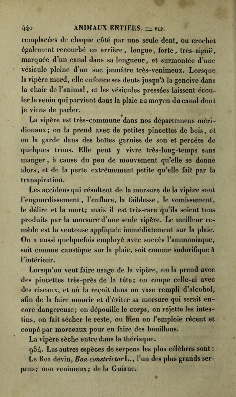 remplacées de chaque côté par une seule dent, bu crochet également recourbé en arrière, longue, forte, très-aiguë, marquée d’un canal dans sa longueur, et surmontée d’une vésicule pleine d’un suc jaunâtre très-venimeux. Lorsque la vipère mord, elle enfonce ses dents jusqu’à la gencive dans la chair de l’animal, et les vésicules pressées laissent écou- ler le venin qui parvient dans la plaie au moyen du canal dont je viens de parler. La vipère est très-commune dans nos départemens méri- dionaux; on la prend avec de petites pincettes de bois, et on la garde dans des boîtes garnies de son et percées de quelques trous. Elle peut y vivre très-long-temps sans manger, à cause du peu de mouvement qu’elle se donne alors, et de la perte extrêmement petite qu’elle fait par la transpiration. Les accidens qui résultent de la morsure de la vipère sont l’engourdissement, l’enflure, la faiblesse, le vomissement, le délire et la mort; mais il est très-rare qu’ils soient tous produits par la morsure d’une seule vipère. Le meilleur re- mède est la ventouse appliquée immédiatement sur la plaie. On a aussi quelquefois employé avec succès l’ammoniaque, soit comme caustique sur la plaie, soit comme sudorifique à l’intérieur. Lorsqu’on veut faire usage de la vipère, on la prend avec des pincettes très-près de la tête; on coupe celle-ci avec des ciseaux, et oh la reçoit dans un vase rempli d’alcohol, afin de la faire mourir et d’éviter sa morsure qui serait en- core dangereuse; on dépouille le corps, on rejette les intes- tins, on fait sécher le reste, ou bien on l’emploie récent et coupé par morceaux pour en faire des bouillons. La vipère sèche entre dans la thériaque. 954. Les autres espèces de serpens les plus célèbres sont : Le Boa devin, Boa constrictorh., l’un des plus grands ser- pens; non venimeux; de la Guiane.