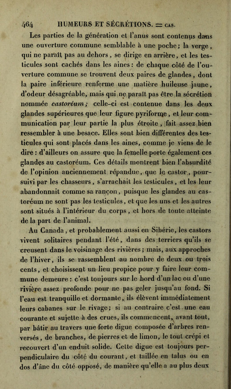 Les parties de la génération et l’anus sont contenus dans une ouverture commune semblable à une poche; la verge, qui ne paraît pas au dehors , se dirige en arrière, et les tes- ticules sont cachés dans les aines : de chaque côté de l’ou- verture commune se trouvent deux paires de glandes, dont la paire inférieure renferme une matière huileuse jaune, d’odeur désagréable, mais qui ne paraît pas être la sécrétion nommée castoréum; celle-ci est contenue dans les deux glandes supérieures que leur figure pyriforme, et leur com- munication par leur partie la plus étroite , fait assez bien ressembler à une besace. Elles sont bien différentes des tes- ticules qui sont placés dans les aines, comme je viens de le dire : d’ailleurs on assure que la femelle porte également ces glandçs au castoréum. Ces détails montrent bien l’absurdité de l’opinion anciennement répandue, que le castor , pour- suivi par les chasseurs, s’arrachait les testicules , et les leur abandonnait comme sa rançon, puisque les glandes au cas- toréum ne sont pas les testicules, et que les uns et les autres sont situés à l’intérieur du corps , et hors de toute atteinte de la part de l’animal. Au Canada, et probablement aussi en Sibérie, les castors vivent solitaires pendant l’été, dans des terriers qu’ils se creusent dans le voisinage des rivières ; mais, aux approches de l’hiver, ils se rassemblent au nombre de deux ou trois cents, et choisissent un lieu propice pour y faire leur com- mune demeure : c’est toujours sur le bord d’un lac ou d’une rivière assez profonde pour ne pas geler jusqu’au fond. Si l’eau est tranquille et dormante, ils élèvent immédiatement leurs cabanes sur le rivage; si au contraire c’est une eau courante et sujette à des crues, ils commencent, avant tout, par bâtir au travers une forte digue composée d’arbres ren- versés, de branches, de pierres et de limon, le tout crépi et recouvert d’un enduit solide. Cette digue est toujours per- pendiculaire du côté du courant, et taillée en talus ou en dos d’âne du côté opposé, de manière qu’elle a au plus deux