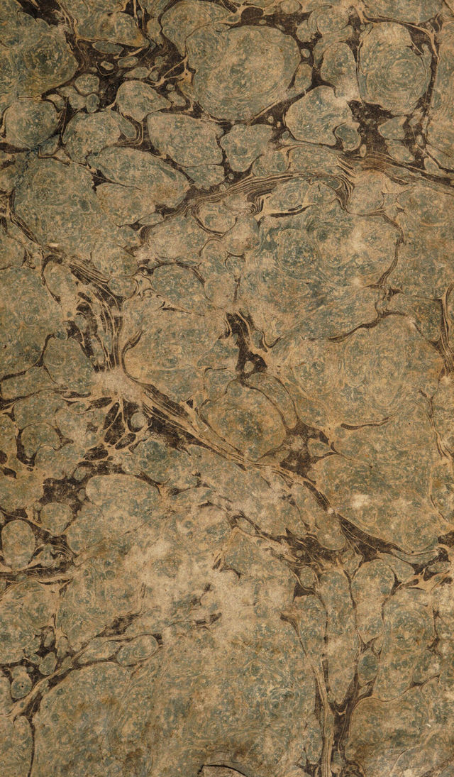 digitised image 1