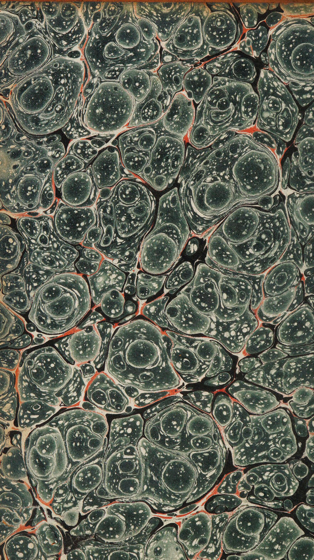 digitised image 2