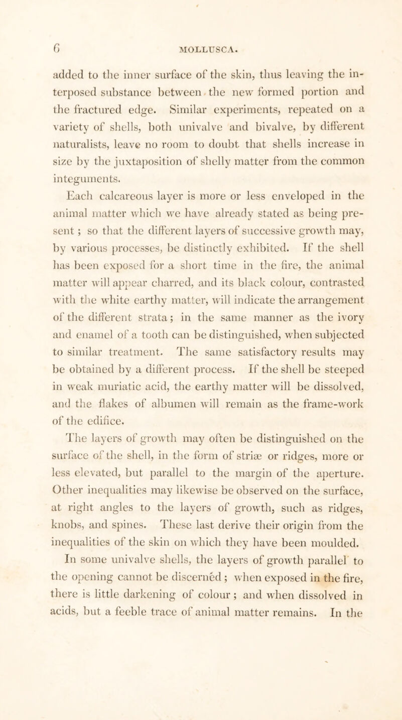 added to tlie inner surface of the skin, thus leaving the in- terposed substance between the new formed portion and the fractured edge. Similar experiments, repeated on a variety of shells, both univalve and bivalve, by different naturalists, leave no room to doubt that shells increase in size by the juxtaposition of shelly matter from the common integuments. Each calcareous layer is more or less enveloped in the animal matter which we have already stated as being pre- sent ; so that the different layers of successive growth may, by various processes, be distinctly exhibited. If the shell has been exposed for a short time in the fire, the animal matter will appear charred, and its black colour, contrasted with the white earthy matter, will indicate the arrangement of the different strata; in the same manner as the ivory and enamel of a tooth can be distinguished, when subjected to similar treatment. The same satisfactory results may be obtained by a different process. If the shell be steeped in weak muriatic acid, the earthy matter will be dissolved, and the flakes of albumen will remain as the frame-work of the edifice. The layers of growth may often be distinguished on the surface of the shell, in the form of striae or ridges, more or less elevated, but parallel to the margin of the aperture. Other inequalities may likewise be observed on the surface, at right angles to the layers of growth, such as ridges, knobs, and spines. These last derive their origin from the inequalities of the skin on which they have been moulded. In some univalve shells, the layers of growth parallel to the opening cannot be discerned ; when exposed in the fire, there is little darkening of colour; and when dissolved in acids, but a feeble trace of animal matter remains. In the