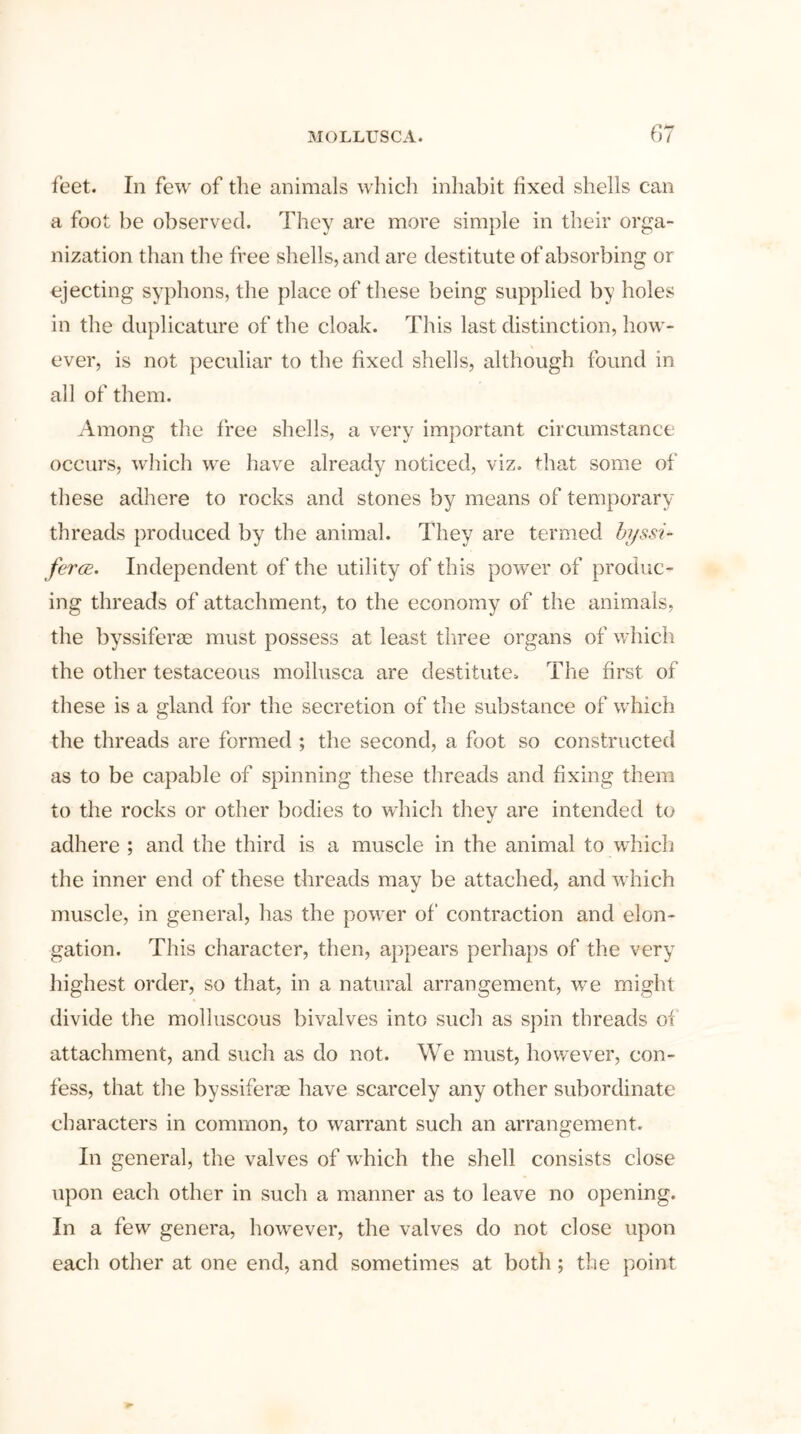 feet. In few of the animals which inhabit fixed shells can a foot be observed. They are more simple in their orga- nization than the free shells, and are destitute of absorbing or ejecting syphons, the place of these being supplied by holes in the duplicature of the cloak. This last distinction, how- ever, is not peculiar to the fixed shells, although found in all of them. Among the free shells, a very important circumstance occurs, which we have already noticed, viz. that some of these adhere to rocks and stones by means of temporary threads produced by the animal. They are termed byssi- ferce. Independent of the utility of this power of produc- ing threads of attachment, to the economy of the animals, the byssiferse must possess at least three organs of which the other testaceous mollusca are destitute. The first of these is a gland for the secretion of the substance of which the threads are formed ; the second, a foot so constructed as to be capable of spinning these threads and fixing them to the rocks or other bodies to which they are intended to adhere ; and the third is a muscle in the animal to which the inner end of these threads may be attached, and which muscle, in general, has the power of contraction and elon- gation. This character, then, appears perhaps of the very highest order, so that, in a natural arrangement, we might divide the molluscous bivalves into such as spin threads of attachment, and such as do not. We must, however, con- fess, that the byssiferae have scarcely any other subordinate characters in common, to warrant such an arrangement. In general, the valves of which the shell consists close upon each other in such a manner as to leave no opening. In a few genera, however, the valves do not close upon each other at one end, and sometimes at both ; the point