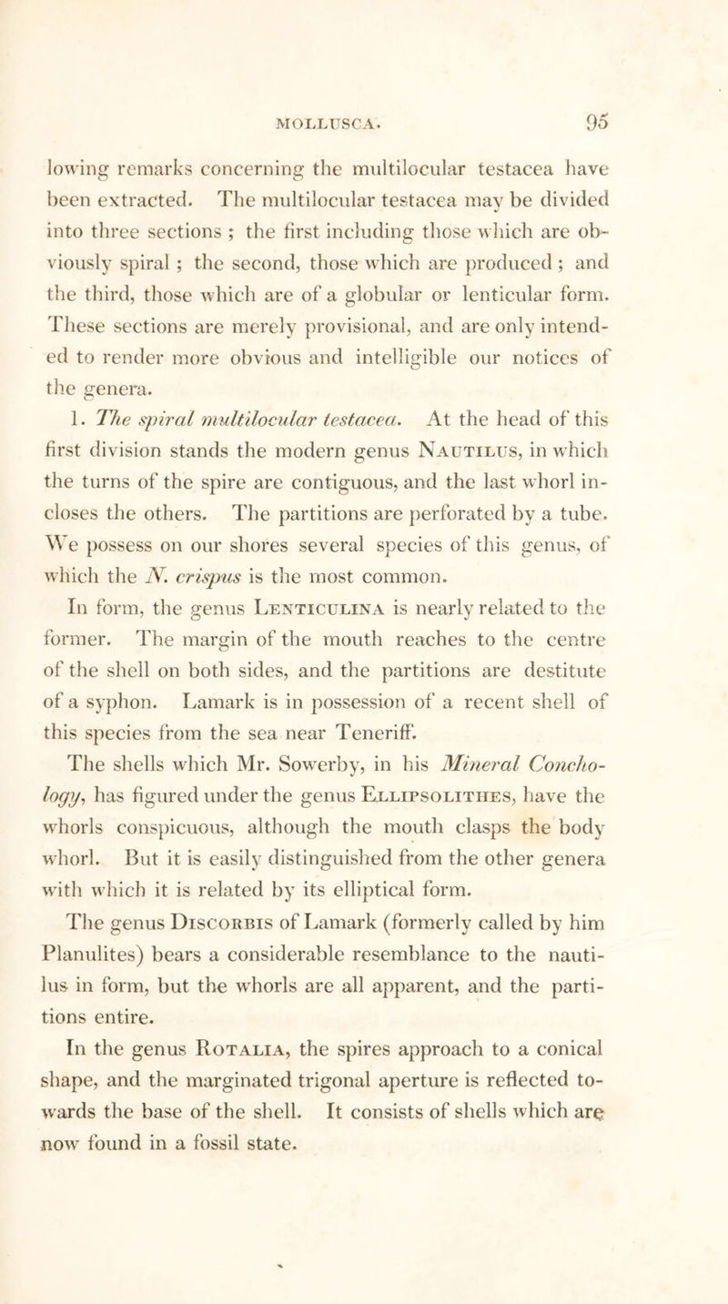 lowing remarks concerning the multilocular testacea have been extracted. The multilocular testacea may be divided into three sections ; the first including those which are ob- viously spiral ; the second, those which are produced ; and the third, those which are of a globular or lenticular form. These sections are merely provisional, and are only intend- ed to render more obvious and intelligible our notices of the genera. 1. The spiral multilocular testacea. At the head of this first division stands the modern genus Nautilus, in which the turns of the spire are contiguous, and the last whorl in- closes the others. The partitions are perforated by a tube. We possess on our shores several species of this genus, of which the N. crispus is the most common. In form, the genus Lenticulina is nearly related to the former. The margin of the mouth reaches to the centre of the shell on both sides, and the partitions are destitute of a syphon. Lamark is in possession of a recent shell of this species from the sea near Teneriff. The shells which Mr. Sowerby, in his Mineral Conclio- logy, has figured under the genus Ellipsolitiies, have the whorls conspicuous, although the mouth clasps the body whorl. But it is easily distinguished from the other genera with which it is related by its elliptical form. The genus Discorbis of Lamark (formerly called by him Planulites) bears a considerable resemblance to the nauti- lus in form, but the wrhorls are all apparent, and the parti- tions entire. In the genus Rotalia, the spires approach to a conical shape, and the marginated trigonal aperture is reflected to- wards the base of the shell. It consists of shells which aro nowr found in a fossil state.