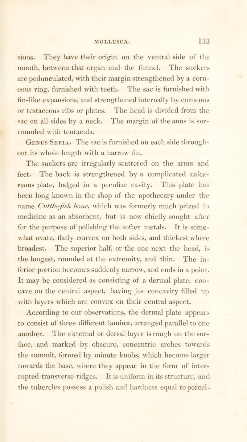 sions. They have their origin on the ventral side of the month, between that organ and the funnel. The suckers are pedunculated, with their margin strengthened by a corn- eous ring, furnished with teeth. The sac is furnished with fin-like expansions, and strengthened internally by corneous or testaceous ribs or plates. The head is divided from the sac on all sides by a neck. The margin of the anus is sur- rounded with tentacula. Genus Sepia. The sac is furnished on each side through- out its whole length with a narrow fin. The suckers are irregularly scattered on the arms and feet. The back is strengthened by a complicated calca- reous plate, lodged in a peculiar cavity. This plate has been long known in the shop of the apothecary under the name Cuttle-fish hone, which was formerly much prized in medicine as an absorbent, but is now chiefly sought after for the purpose of polishing the softer metals. It is some- what ovate, flatly convex on both sides, and thickest where broadest. The superior half, or the one next the head, is the longest, rounded at the extremity, and thin. The in- ferior portion becomes suddenly narrow, and ends in a point. It may be considered as consisting of a dermal plate, con- cave on the central aspect, having its concavity filled up with layers which are convex on their central aspect. According to our observations, the dermal plate appears to consist of three different laminae, arranged parallel to one another. The external or dorsal layer is rough on the sur- face, and marked by obscure, concentric arches towards the summit, formed by minute knobs, which become larger towards the base, where they appear in the form of inter- rupted transverse ridges. It is uniform in its structure, and the tubercles possess a polish and hardness equal toporcel™