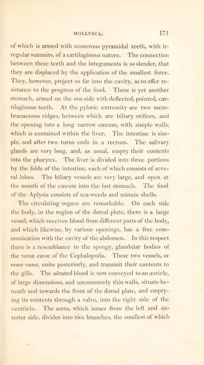 of which is armed with numerous pyramidal teeth, with ir- regular summits, of a cartilaginous nature. The connection between these teeth and the integuments is so slender, that they are displaced by the application of the smallest force. They, however, project so far into the cavity, as to offer re- sistance to the progress of the food. There is yet another stomach, armed on the one side with deflected, pointed, car- tilaginous teeth. At the pyloric extremity are tw7o mem- branaceous ridges, between which are biliary orifices, and the opening into a long narrow caecum, with simple walls, which is contained within the liver. The intestine is sim- ple, and after two turns ends in a rectum. The salivary glands are very long, and, as usual, empty their contents into the pharynx. The liver is divided into three portions by the folds of the intestine, each of which consists of seve- ral lobes. The biliary vessels are very large, and open at the mouth of the caecum into the last stomach. The food of the Aplysia consists of sea-wreeds and minute shells. The circulating organs are remarkable. On each side the body, in the region of the dorsal plate, there is a large vessel, which receives blood from different parts of the body, and which likewise, by various openings, has a free com- munication with the cavity of the abdomen. In this respect there is a resemblance to the spongy, glandular bodies of the venae cavae of the Cephalopoda. These two vessels, or vence cavce, unite posteriorly, and transmit their contents to the gills. The aerated blood is now conveyed to an auricle, of large dimensions, and uncommonly thin w alls, situate be- neath and towards the front of the dorsal plate, and empty- ing its contents through a valve, into the right side of the ventricle. The aorta, which issues from the left and an- terior side, divides into two branches, the smallest of which