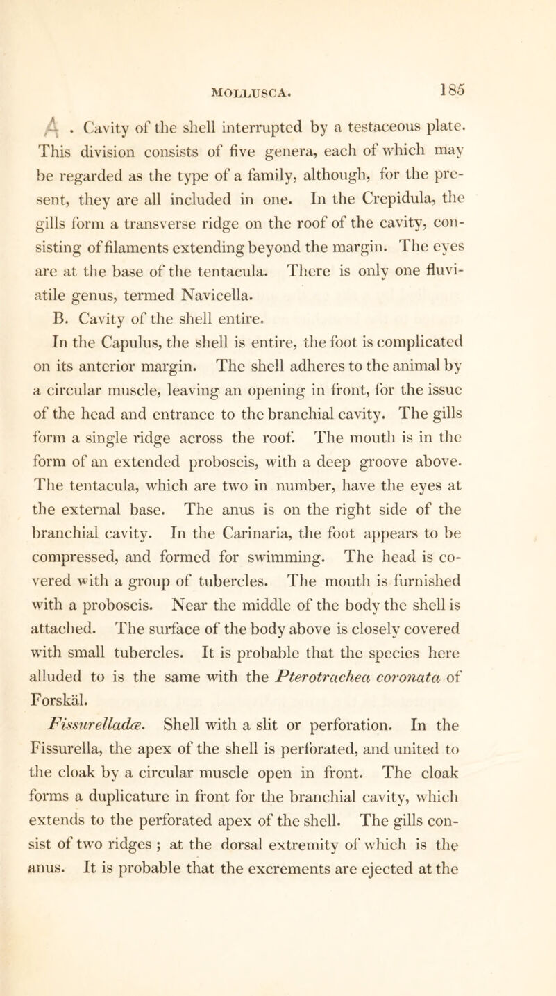 . Cavity of the shell interrupted by a testaceous plate. This division consists of five genera, each of which may be regarded as the type of a family, although, for the pre- sent, they are all included in one. In the Crepidula, the gills form a transverse ridge on the roof of the cavity, con- sisting of filaments extending beyond the margin. The eyes are at the base of the tentacula. There is only one fluvi- atile genus, termed Navicella. B. Cavity of the shell entire. In the Capulus, the shell is entire, the foot is complicated on its anterior margin. The shell adheres to the animal by a circular muscle, leaving an opening in front, for the issue of the head and entrance to the branchial cavity. The gills form a single ridge across the roof. The mouth is in the form of an extended proboscis, with a deep groove above. The tentacula, wrhich are two in number, have the eyes at the external base. The anus is on the right side of the branchial cavity. In the Carinaria, the foot appears to be compressed, and formed for swimming. The head is co- vered with a group of tubercles. The mouth is furnished with a proboscis. Near the middle of the body the shell is attached. The surface of the body above is closely covered with small tubercles. It is probable that the species here alluded to is the same with the Pterotrachea coronatci of Forskal. Fissurelladce. Shell with a slit or perforation. In the Fissurella, the apex of the shell is perforated, and united to the cloak by a circular muscle open in front. The cloak forms a duplicature in front for the branchial cavity, which extends to the perforated apex of the shell. The gills con- sist of two ridges ; at the dorsal extremity of which is the anus. It is probable that the excrements are ejected at the