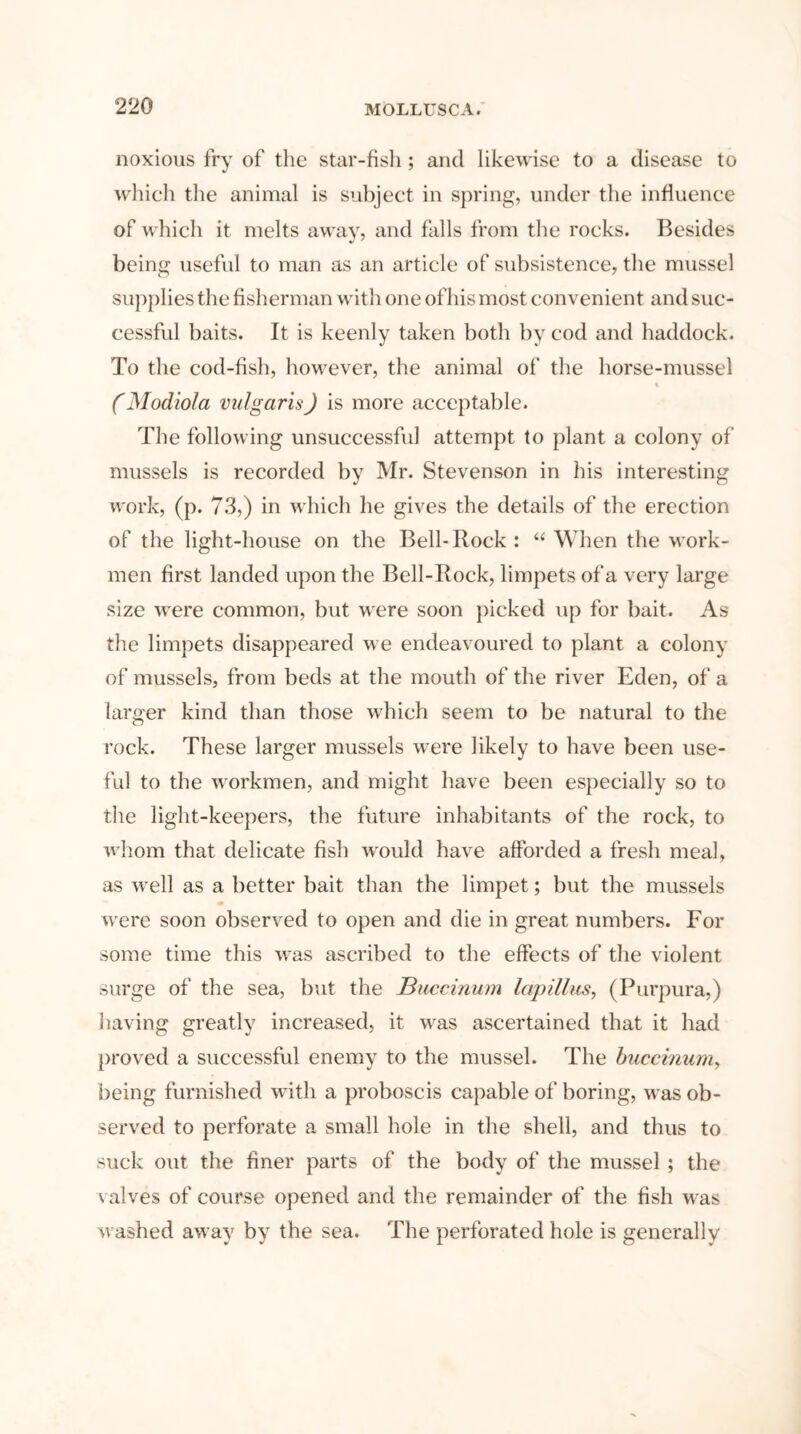 noxious fry of the star-fish; and likewise to a disease to which the animal is subject in spring, under the influence of which it melts away, and falls from the rocks. Besides being useful to man as an article of subsistence, the mussel supplies the fisherman with one of his most convenient and suc- cessful baits. It is keenly taken both by cod and haddock. To the cod-fish, however, the animal of the horse-mussel % (ModioJa vulgaris) is more acceptable. The following unsuccessful attempt to plant a colony of mussels is recorded by Mr. Stevenson in his interesting work, (p. 73,) in which he gives the details of the erection of the light-house on the Bell-Rock: “ When the work- men first landed upon the Bell-Rock, limpets of a very large size were common, but were soon picked up for bait. As the limpets disappeared we endeavoured to plant a colony of mussels, from beds at the mouth of the river Eden, of a larger kind than those which seem to be natural to the rock. These larger mussels were likely to have been use- ful to the workmen, and might have been especially so to the light-keepers, the future inhabitants of the rock, to whom that delicate fish ’would have afforded a fresh meal, as ’well as a better bait than the limpet; but the mussels were soon observed to open and die in great numbers. For some time this was ascribed to the effects of the violent surge of the sea, but the Baccinum lapillas, (Purpura,) having greatly increased, it was ascertained that it had proved a successful enemy to the mussel. The baccinum, being furnished with a proboscis capable of boring, was ob- served to perforate a small hole in the shell, and thus to suck out the finer parts of the body of the mussel ; the valves of course opened and the remainder of the fish was washed away by the sea. The perforated hole is generally