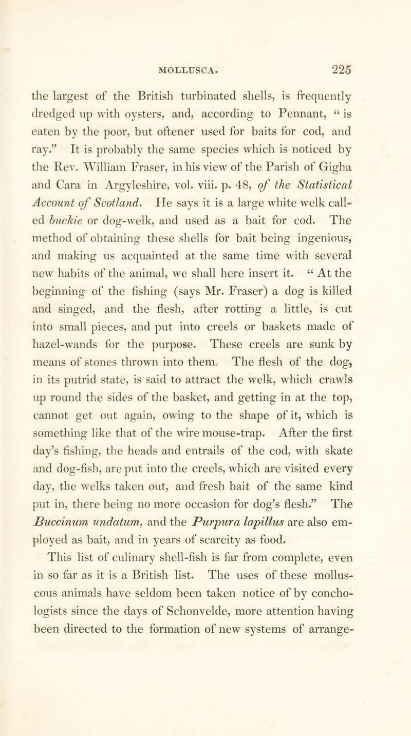 the largest of the British turbinated shells, is frequently dredged up with oysters, and, according to Pennant, “ is eaten by the poor, but oftener used for baits for cod, and ray.” It is probably the same species which is noticed by the Rev. William Fraser, in his view of the Parish of Gigha and Cara in Argyleshire, vol. viii. p. 48, of the Statistical Account of Scotland. He says it is a large white welk call- ed buckle or dog-welk, and used as a bait for cod. The method of obtaining these shells for bait being ingenious, and making us acquainted at the same time with several new habits of the animal, we shall here insert it. “ At the beginning of the fishing (says Mr. Fraser) a dog is killed and singed, and the flesh, after rotting a little, is cut into small pieces, and put into creels or baskets made of hazel-wands for the purpose. These creels are sunk by means of stones thrown into them. The flesh of the dog, in its putrid state, is said to attract the welk, which crawls up round the sides of the basket, and getting in at the top, cannot get out again, owing to the shape of it, which is something like that of the wire mouse-trap. After the first day’s fishing, the heads and entrails of the cod, with skate and dog-fish, are put into the creels, which are visited every day, the welks taken out, and fresh bait of the same kind put in, there being no more occasion for dog’s flesh.” The Buccinum undcttum, and the Purpura lapillus are also em- ployed as bait, and in years of scarcity as food. This list of culinary shell-fish is far from complete, even in so far as it is a British list. The uses of these mollus- cous animals have seldom been taken notice of by concho- logists since the days of Schonvelde, more attention having been directed to the formation of new systems of arrange-