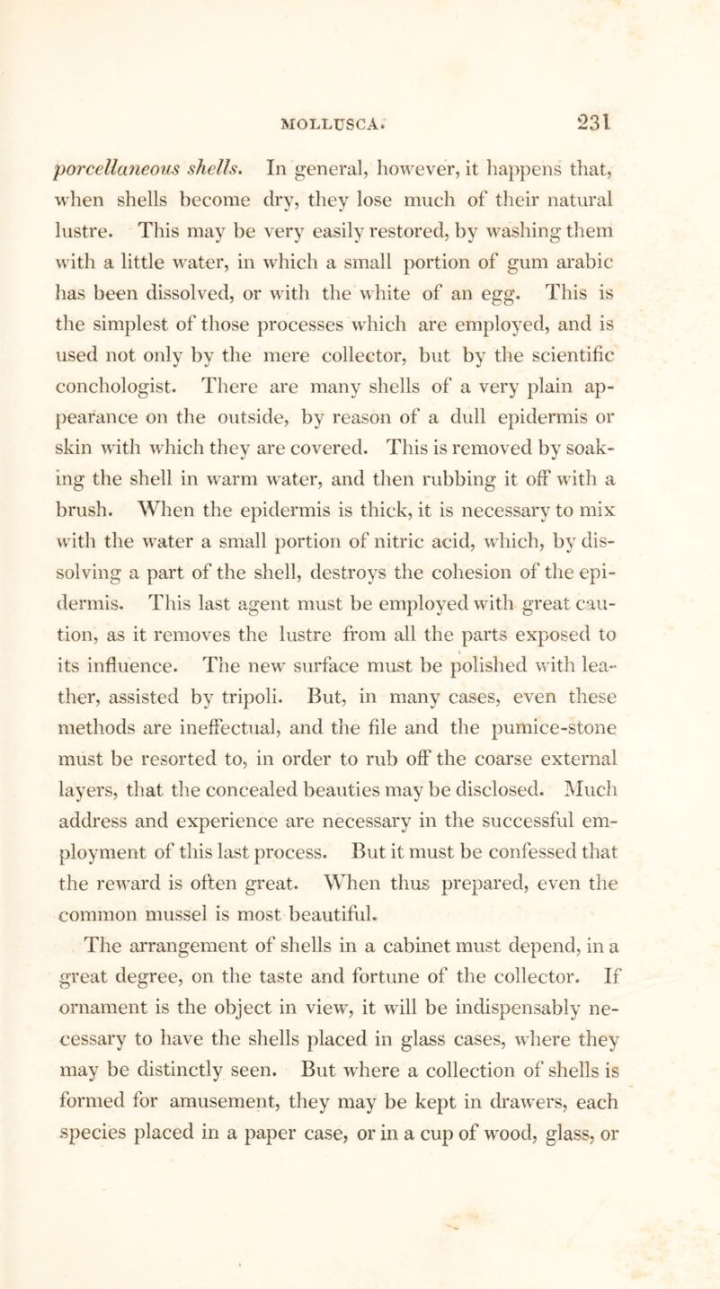 porcellaneous shells. In general, however, it happens that, when shells become dry, they lose much of their natural lustre. This may be very easily restored, by washing them with a little water, in which a small portion of gum arabic has been dissolved, or with the white of an egg. This is the simplest of those processes which are employed, and is used not only by the mere collector, but by the scientific conchologist. There are many shells of a very plain ap- pearance on the outside, by reason of a dull epidermis or skin with which they are covered. This is removed by soak- ing the shell in warm water, and then rubbing it off with a brush. When the epidermis is thick, it is necessary to mix with the water a small portion of nitric acid, which, by dis- solving a part of the shell, destroys the cohesion of the epi- dermis. This last agent must be employed with great cau- tion, as it removes the lustre from all the parts exposed to its influence. The new surface must be polished with lea- ther, assisted by tripoli. But, in many cases, even these methods are ineffectual, and the file and the pumice-stone must be resorted to, in order to rub off the coarse external layers, that the concealed beauties may be disclosed. Much address and experience are necessary in the successful em- ployment of this last process. But it must be confessed that the reward is often great. When thus prepared, even the common mussel is most beautiful. The arrangement of shells in a cabinet must depend, in a great degree, on the taste and fortune of the collector. If ornament is the object in view, it will be indispensably ne- cessary to have the shells placed in glass cases, where they may be distinctly seen. But where a collection of shells is formed for amusement, they may be kept in drawers, each species placed in a paper case, or in a cup of wood, glass, or