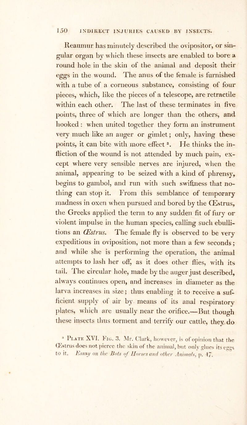 Reaumur has minutely described the ovipositor, or sin- gular organ by which these insects are enabled to bore a round hole in the skin of the animal and deposit their eggs in the wound. The anus of the female is furnished with a tube of a corneous substance, consisting of four pieces, which, like the pieces of a telescope, are retractile within each other. The last of these terminates in five points, three of which are longer than the others, and 1 looked : when united together they form an instrument very much like an auger or gimlet; only, having these points, it can bite with more effecta. He thinks the in- fliction of the wound is not attended by much pain, ex- cept where very sensible nerves are injured, when the animal, appearing to be seized with a kind of phrensy, begins to gambol, and run with such swiftness that no- thing can stop it. From this semblance of temporary madness in oxen when pursued and bored by the CEstrus, the Greeks applied the term to any sudden fit of fury or violent impulse in the human species, calling such ebulli- tions an OEstrus. The female fly is observed to be very expeditious in oviposition, not more than a few seconds; and while she is performing the operation, the animal attempts to lash her oftj as it does other flies, with its tail. The circular hole, made by the auger just described, always continues open, and increases in diameter as the larva increases in size; thus enabling it to receive a suf- ficient supply of air by means of its anal respiratory plates, which are usually near the orifice.—But though these insects thus torment and terrify our cattle, they do a Plate XVI. Fig. 3. Mr. Clark, however, is of opinion that the (Fstrus does not pierce the skin of the animal, but only glues its eggs to it. Essay on the Bots of Horses and other Animats, p. 47.