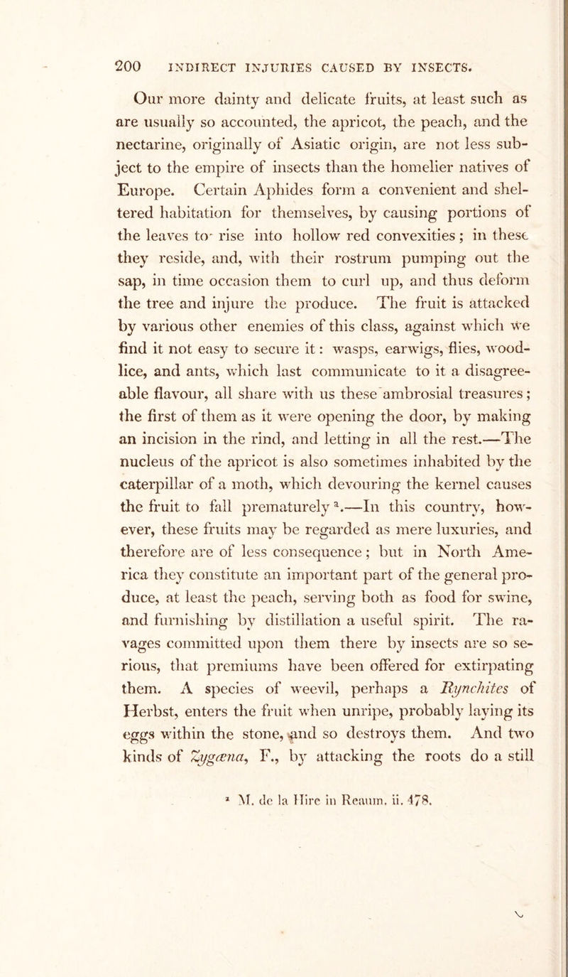 Our more dainty and delicate fruits, at least such as are usually so accounted, the apricot, the peach, and the nectarine, originally of Asiatic origin, are not less sub- ject to the empire of insects than the homelier natives of Europe. Certain Aphides form a convenient and shel- tered habitation for themselves, by causing portions of the leaves to' rise into hollow red convexities; in these they reside, and, with their rostrum pumping out the sap, in time occasion them to curl up, and thus deform the tree and injure the produce. The fruit is attacked by various other enemies of this class, against which we find it not easy to secure it: wasps, earwigs, flies, wood- lice, and ants, which last communicate to it a disagree- able flavour, all share with us these ambrosial treasures; the first of them as it were opening the door, by making an incision in the rind, and letting in all the rest.-—The nucleus of the apricot is also sometimes inhabited by the caterpillar of a moth, which devouring the kernel causes the fruit to fall prematurelya.—In this country, how- ever, these fruits may be regarded as mere luxuries, and therefore are of less consequence; but in North Ame- rica they constitute an important part of the general pro- duce, at least the peach, serving both as food for swine, and furnishing by distillation a useful spirit. The ra- vages committed upon them there by insects are so se- rious, that premiums have been offered for extirpating them. A species of weevil, perhaps a Rynchites of Herbst, enters the fruit when unripe, probably laying its eggs within the stone, -and so destroys them. And two kinds of Zygtfna, F., by attacking the roots do a still * M. tic la Hire in Reaum, ii. 478.
