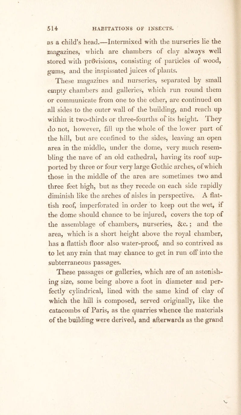 as a child’s head.-—Intermixed with the nurseries lie the magazines, which are chambers of clay always well stored with provisions, consisting of particles of wood, gums, and the inspissated juices of plants. These magazines and nurseries, separated by small empty chambers and galleries, which run round them or communicate from one to the other, are continued on all sides to the outer wall of the building, and reach up within it two-thirds or three-fourths of its height. They do not, however, fill up the whole of the lower part of the hill, but are confined to the sides, leaving an open area in the middle, under the dome, very much resem- bling the nave of an old cathedral, having its roof sup- ported by three or four very large Gothic arches, of which those in the middle of the area are sometimes two and three feet high, but as they recede on each side rapidly diminish like the arches of aisles in perspective. A flat- tish roof, imperforated in order to keep out the wet, il the dome should chance to be injured, covers the top of the assemblage of chambers, nurseries, &c.; and the area, which is a short height above the royal chamber, has a flattish floor also water-proof, and so contrived as to let any rain that may chance to get in run off into the subterraneous passages. These passages or galleries, which are of an astonish- ing size, some being above a foot in diameter and per- fectly cylindrical, lined with the same kind of clay of which the hill is composed, served originally, like the catacombs of Paris, as the quarries whence the materials of the building were derived, and afterwards as the grand
