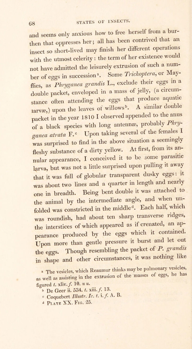 and seems only anxious how to free herself from a bur¬ then that oppresses her; all has been contrived that an insect so short-lived may finish her different operations with the utmost celerity : the term of her existence would not have admitted the leisurely extrusion of such a num¬ ber of eggs in succession’. Some Trichoptera, or May¬ flies, as Phryganea grandis L., exclude their eggs in a double packet, enveloped in a mass of jelly, (a circum¬ stance often attending the eggs that produce aquatic larvae,) upon the leaves of willows11. A similar double packet in the year 1810 I observed appended to the anus of a black species with long antennae, probably Phry¬ ganea atrata F.c Upon taking several of the females I was surprised to find in the above situation a seeming y fleshy substance of a dirty yellow. At first, from its an¬ nular appearance, I conceived it to be some parasitic larva, but was not a little surprised upon pulling it away that it was full of globular transparent dusky eggs: it was about two lines and a quarter in length and nearly one in breadth. Being bent double it was attached to the animal by the intermediate angle, and when un¬ folded was constricted in the middle4. Each half, which was roundish, had about ten sharp transverse ridges, the interstices of which appeared as if crenated, an ap¬ pearance produced by the eggs which it contained. Upon more than gentle pressure it burst and let out the eggs. Though resembling the packet of P. grandis in shape and other circumstances, it was nothing like • The vesicles, which Reaumur thinks maybe pulmonary vesicles, as well as assisting in the extrusion of the masses of eggs, he has figured t. xliv./. 10. uu. b De Geer ii. 534. t. xiii./. 13. c Coquebert Illustr. Ic. t. i./. A. B. A Pi,ate XX. Fig. 25.
