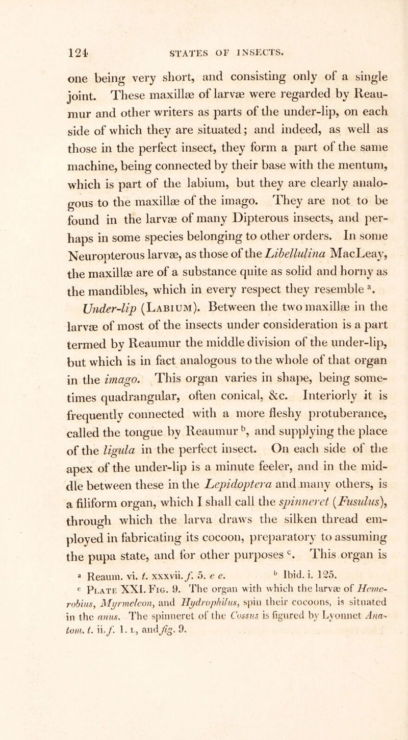 one being very short, and consisting only of a single joint. These maxilla? of larvae were regarded by Reau¬ mur and other writers as parts of the under-lip, on each side of which they are situated; and indeed, as well as those in the perfect insect, they form a part of the same machine, being connected by their base with the mentum, which is part of the labium, but they are clearly analo¬ gous to the maxilla? of the imago. They are not to be found in the larvae of many Dipterous insects, and per¬ haps in some species belonging to other orders. In some Neuropterous larvae, as those of the Libellulina MacLeay, the maxillae are of a substance quite as solid and horny as the mandibles, which in every respect they resemble a. Under-lip (Labium). Between the two maxillae in the larvae of most of the insects under consideration is a part termed by Reaumur the middle division of the under-lip, but which is in fact analogous to the whole of that organ in the imago. This organ varies in shape, being some¬ times quadrangular, often conical, &amp;c. Interiorly it is frequently connected with a more fleshy protuberance, called the tongue by Reaumur b, and supplying the place of the ligula in the perfect insect. On each side of the apex of the under-lip is a minute feeler, and in the mid¬ dle between these in the Lepidoptera and many others, is a filiform organ, which I shall call the spinneret (.Fusulus), through which the larva draws the silken thread em¬ ployed in fabricating its cocoon, preparatory to assuming the pupa state, and for other purposes c. This organ is a Reaum. vi. t. xxxvii5. e e. b Ibid. L 125. c Plate XXL Fig. 9. The organ with which the larvae of Heme- robius, Myrmeleon, and Hydrophilus, spin their cocoons, is situated in the anus. The spinneret of the Cossus is figured by Lyonnet Ana¬ tom. t. ii./. 1. l5 and fig. 9.