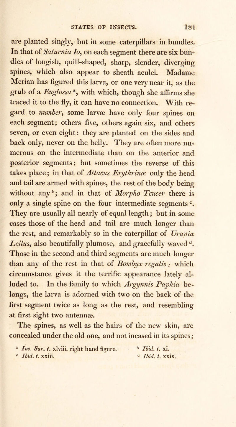 are planted singly, but in some caterpillars in bundles. In that of Saturnia Io, on each segment there are six bun¬ dles of longish, quill-shaped, sharp, slender, diverging spines, which also appear to sheath aculei. Madame Merian has figured this larva, or one very near it, as the grub of a Euglossa a, with which, though she affirms she traced it to the fly, it can have no connection. With re¬ gard to number, some larvse have only four spines on each segment; others five, others again six, and others seven, or even eight: they are planted on the sides and back only, never on the belly. They are often more nu¬ merous on the intermediate than on the anterior and posterior segments; but sometimes the reverse of this takes place; in that of Attacus Erytlirince only the head and tail are armed with spines, the rest of the body being without anyb; and in that of Morpho Teucer there is only a single spine on the four intermediate segments c. They are usually all nearly of equal length; but in some cases those of the head and tail are much longer than the rest, and remarkably so in the caterpillar of Urania Leilus, also beautifully plumose, and gracefully waved d. Those in the second and third segments are much longer than any of the rest in that of Bombyx regalis; which circumstance gives it the terrific appearance lately al¬ luded to. In the family to which Argynnis Papkia be¬ longs, the larva is adorned with two on the back of the first segment twice as long as the rest, and resembling at first sight two antennae. The spines, as well as the hairs of the new skin, are concealed under the old one, and not incased in its spines; a Ins. Sur. t. xlviii. right hand figure. b Ibid. t. xi. e Ibid. t. xxiii. d Ibid, t, xxix.