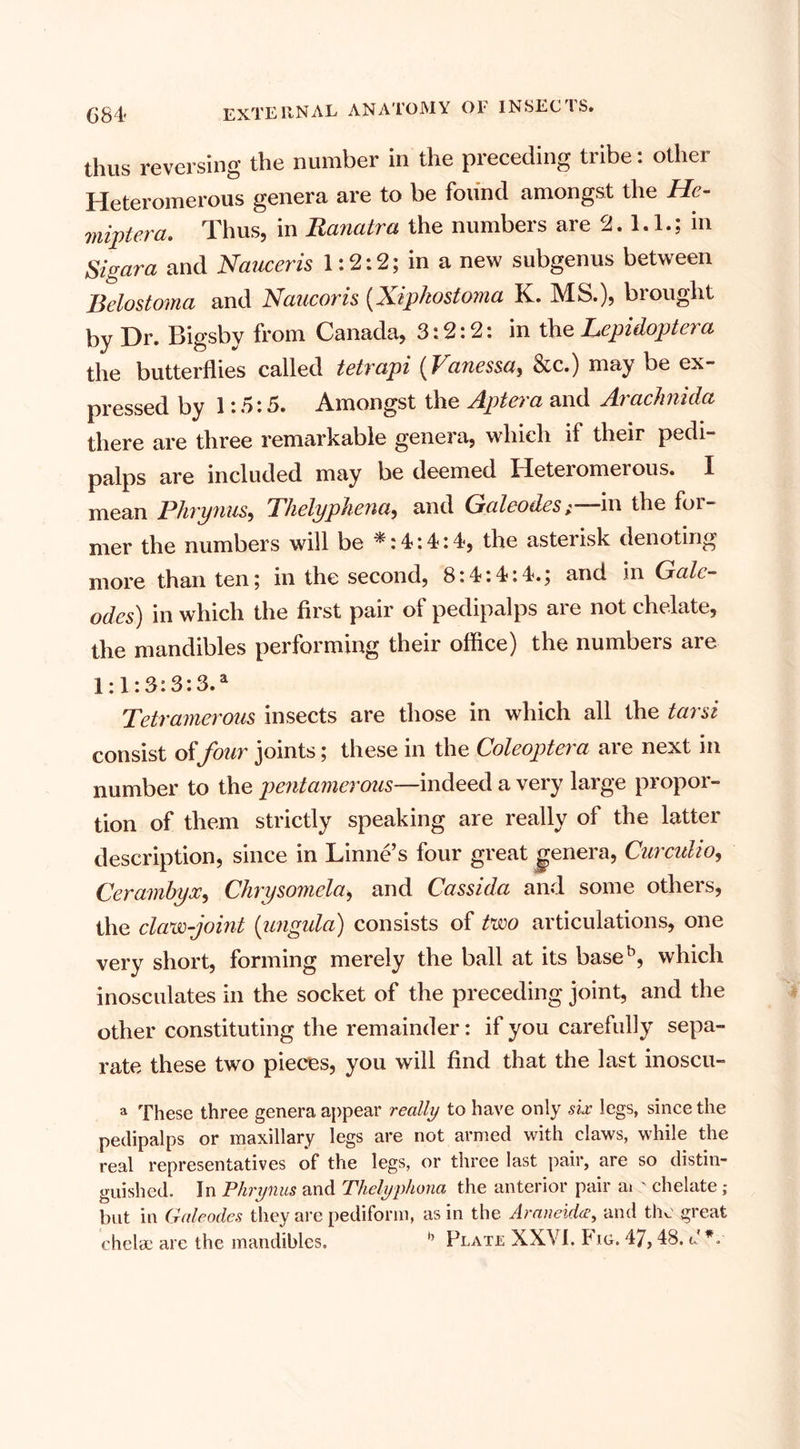 thus reversing the number in the preceding tribe: other Heteromerous genera are to be found amongst the He- miptera. Thus, in Ranatra the numbers are 2. 1.1.; in Sigara and Nauceris 1:2:2; in a new subgenus between Belostoma and Naucoris (Xipkostoma K. MS.), brought by Dr. Bigsby from Canada, 3:2:2: in the Lepidoptera the butterflies called tetrapi (Vanessa, &amp;c.) may be ex¬ pressed by 1:5:5. Amongst the Apt era and Arachnida there are three remarkable genera, which if their pedi- palps are included may be deemed Heteromerous. I mean Phrynus, Thelyphena, and Galeodes} in the for- mer the numbers will be *: 4:4:4, the asterisk denoting more than ten; in the second, 8:4:4:4.; and in Gale- odes) in which the first pair of pedipalps are not chelate, the mandibles performing their office) the numbers are 1:1:3:3:3.a Tetramerous insects are those in which all the tarsi consist offour joints; these in the Coleoptera are next in number to the pentamerous—indeed a very large propor¬ tion of them strictly speaking are really of the latter description, since in Linne’s four great genera, Curculio, Cerambyx, Chrysomela, and Cassida and some others, the claw-joint (lingula) consists of two articulations, one very short, forming merely the ball at its baseb, which inosculates in the socket of the preceding joint, and the other constituting the remainder: if you carefully sepa¬ rate these two pieces, you will find that the last inoscu- a These three genera appear really to have only six legs, since the pedipalps or maxillary legs are not armed with claws, while the real representatives of the legs, or three last pair, are so distin¬ guished. In Phrynus and Thelyphona the anterior pair ai ' chelate; but in Galeodes they are pediform, as in the Araneida, and the great chelae are the mandibles. *’ Plate XXVI. 4 io. 47,48. d V