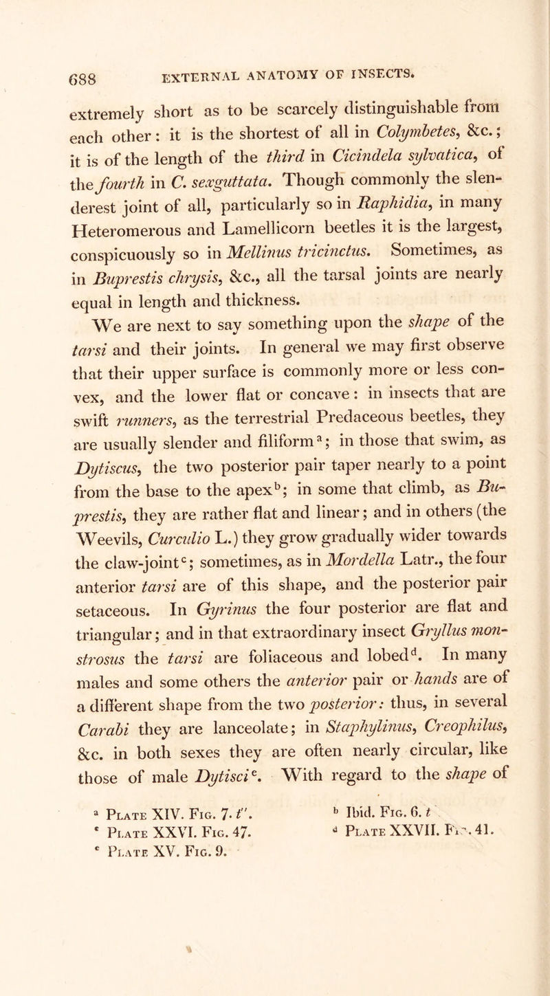 extremely short as to be scarcely distinguishable from each other : it is the shortest of all in Colymbetes, &amp;c.; it is of the length of the third in Cicindela sylvatica, of the fourth in C. sexguttata. Though commonly the slen¬ derest joint of all, particularly so in Raphidia, in many Heteromerous and Lamellicorn beetles it is the largest, conspicuously so in JSdellinus triciuctus. Sometimes, as in Buprestis chrysis, &amp;c., all the tarsal joints are nearly equal in length and thickness. We are next to say something upon the shape of the tarsi and their joints. In general we may first observe that their upper surface is commonly more or less con¬ vex, and the lower flat or concave: in insects that are swift runners, as the terrestrial Predaceous beetles, they are usually slender and filiforma; in those that swim, as Dytiscus, the two posterior pair taper nearly to a point from the base to the apexb; in some that climb, as Bu- jwestis, they are rather flat and linear; and in others (the Weevils, Curculio L.) they grow gradually wider towards the claw-jointcj sometimes, as in Mordella Latr., thefoui anterior tarsi are of this shape, and the posterior pair setaceous. In Gyrinus the four posterior are flat and triangular; and in that extraordinary insect Gryllus mon- strosus the tarsi are foliaceous and lobedd. In many males and some others the anterior pair or hands are of a different shape from the two posterior: thus, in several Carabi they are lanceolate; in Stapliylinus, Creophilus, &amp;c. in both sexes they are often nearly circular, like those of male Dytiscie. With regard to the shape of a Plate XIV. Fig. 7-1. b Ibid. Fig. G. t * Plate XXVI. Fig. 47. d Plate XXVII. FxA. 41.