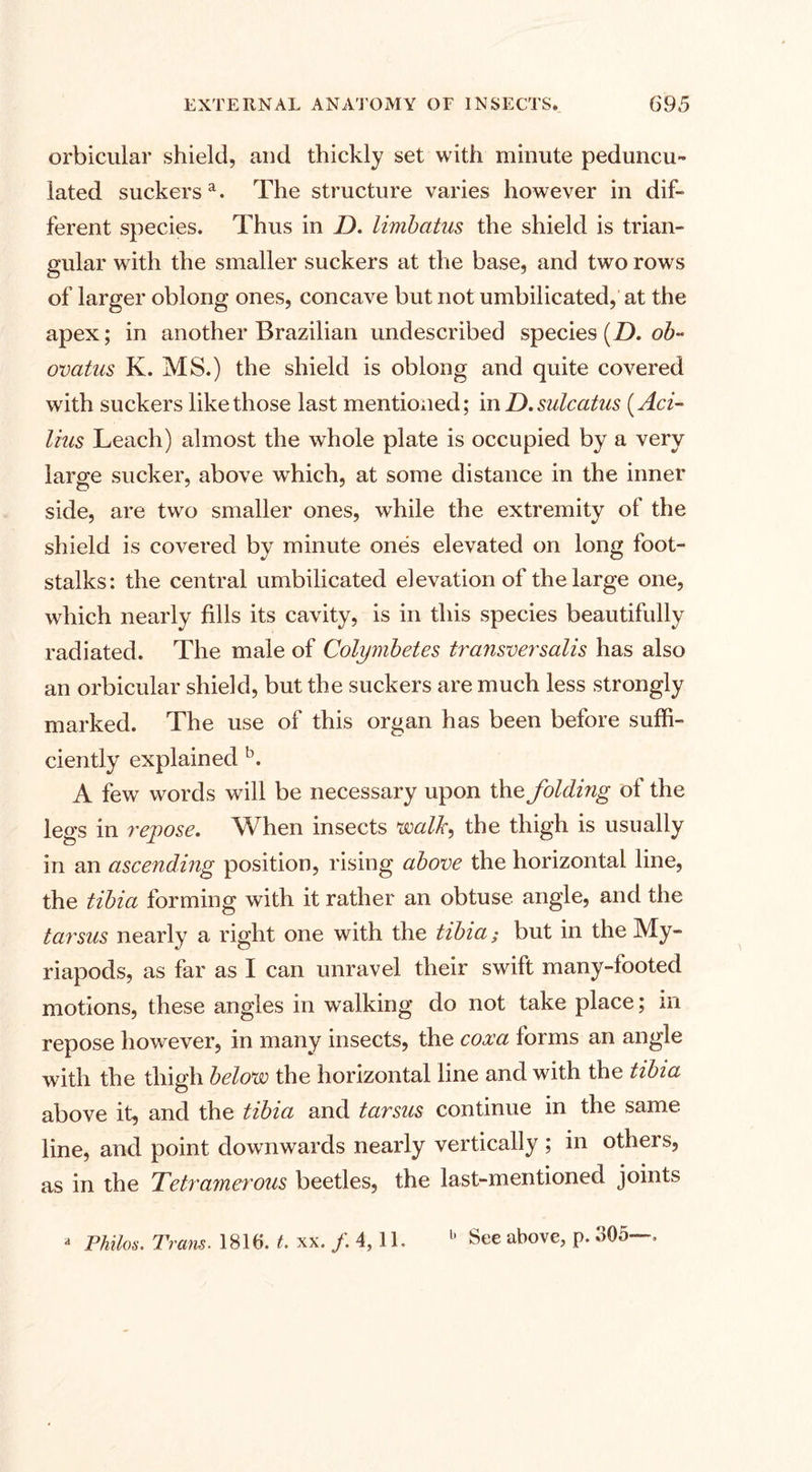 orbicular shield, and thickly set with minute peduncu¬ lated suckersa. The structure varies however in dif¬ ferent species. Thus in D. limbatus the shield is trian¬ gular with the smaller suckers at the base, and two rows of larger oblong ones, concave but not umbilicated, at the apex; in another Brazilian undescribed species (Z). ob~ ovatus K. MS.) the shield is oblong and quite covered with suckers like those last mentioned; in D.sulcatus (Aci- lius Leach) almost the whole plate is occupied by a very large sucker, above which, at some distance in the inner side, are two smaller ones, while the extremity of the shield is covered by minute ones elevated on long foot¬ stalks: the central umbilicated elevation of the large one, which nearly fills its cavity, is in this species beautifully radiated. The male of Colymbetes transversalis has also an orbicular shield, but the suckers are much less strongly marked. The use of this organ has been before suffi¬ ciently explained b. A few words will be necessary upon the folding of the legs in repose. When insects walk, the thigh is usually in an ascending position, rising above the horizontal line, the tibia forming with it rather an obtuse angle, and the tarsus nearly a right one with the tibia; but in the My¬ riapods, as far as I can unravel their swift many-footed motions, these angles in walking do not take place; in repose however, in many insects, the coxa forms an angle with the thigh below the horizontal line and with the tibia above it, and the tibia and tarsus continue in the same line, and point downwards nearly vertically ; in others, as in the Tetramerous beetles, the last-mentioned joints * Philos. Tram. 1816. t. xx. /. 4,11. b See above, p. 305—,