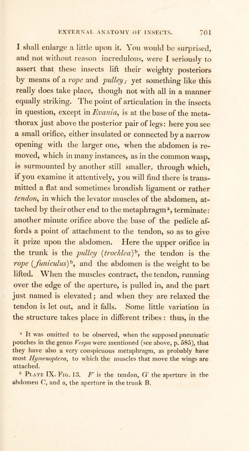 1 shall enlarge a little upon it. You would be surprised, and not without reason incredulous, were I seriously to assert that these insects lift their weighty posteriors by means of a rope and pulley; yet something like this really does take place, though not with all in a manner equally striking. The point of articulation in the insects in question, except in Evania, is at the base of the meta¬ thorax just above the posterior pair of legs: here you see a small orifice, either insulated or connected by a narrow opening with the larger one, when the abdomen is re¬ moved, which in many instances, as in the common wasp, is surmounted by another still smaller, through which, if you examine it attentively, you will find there is trans¬ mitted a flat and sometimes broadish ligament or rather tendon, in which the levator muscles of the abdomen, at¬ tached by their other end to the metaphragm a, terminate: another minute orifice above the base of the pedicle af¬ fords a point of attachment to the tendon, so as to give it prize upon the abdomen. Here the upper orifice in the trunk is the pulley (trochlea)b, the tendon is the rope { funiculus)b, and the abdomen is the weight to be lifted. When the muscles contract, the tendon, running over the edge of the aperture, is pulled in, and the part just named is elevated; and when they are relaxed the tendon is let out, and it falls. Some little variation in the structure takes place in different tribes: thus, in the a It was omitted to be observed, when the supposed pneumatic pouches in the genus Vespa were mentioned (see above, p. 585), that they have also a very conspicuous metaphragm, as probably have most Hymenaptera, to which the muscles that move the wings are attached. b Plate IX. Fig. 13. F' is the tendon, G' the aperture in the abdomen C, and a, the aperture in the trunk B.