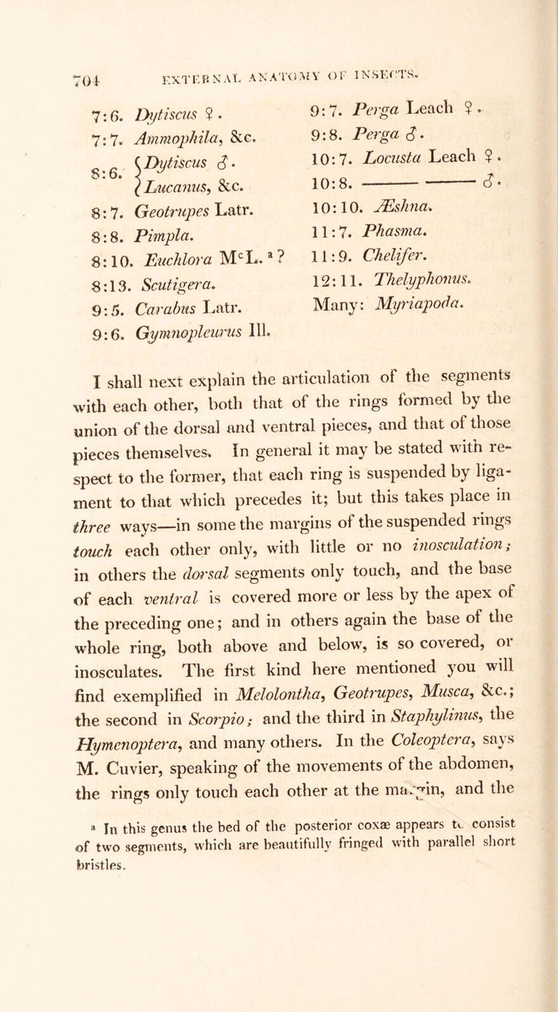 7:6. Dytiscus ? . 7:7. Ammophila, &amp;c. ^ ( Dytiscus £ • ( Lucanus, occ. 8:7. Geotrupes Latr. 8:8. Pimpla. 8:10. Euchlora MCL.a ? 8:13. Scutigera. 9:5. Cara/ms Latr. 9:6. Gymnopleurus Ill. 9:7. Perga Leach ? . 9:8. Perga £. 10:7. Locusta Leach 7. 10:8. —-- cL 10:10. JEshna. 11:7. Phasma. 11:9. Chelifer. 12:11. Thelyphomis. Many: ihfymapoda. I shall next explain the articulation of the segments with each other, both that of the rings formed by the union of the dorsal and ventral pieces, and that of those pieces themselves. In general it may be stated with re¬ spect to the former, that each ring is suspended by liga¬ ment to that which precedes it; but this takes place in three ways—in some the margins of the suspended lings touch each other only, with little or no inosculation; in others the dorsal segments only touch, and the base of each ventral is covered more or less by the apex of the preceding one; and in others again the base of the whole ring, both above and below, is so covered, oi inosculates. The first kind here mentioned you will find exemplified in Melolontha, Geotrupes, Musca, &amp;c,, the second in Scorpio; and the third in Staphylinus, the Hymenoptera, and many others. In the Coleoptcra, says M. Cuvier, speaking of the movements of the abdomen, the rings only touch each other at the margin, and the a In this genus the bed of the posterior coxae appears n consist of two segments, which are beautifully fringed with parallel short bristles.