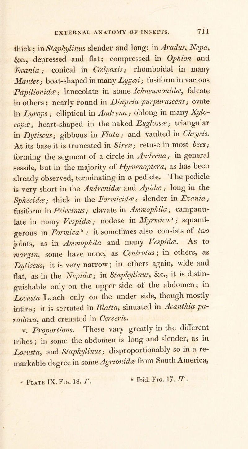 thick; inStaphylinus slender and long; in Arad,us, Nepa, &amp;c., depressed and flat; compressed in Ophion and Evania; conical in Ccelyoxis; rhomboidal in many Mantes; boat-shaped in many Lygcei; fusiform in various Papilionidce; lanceolate in some Iclmeumonidce, falcate mothers; nearly round in Diapria purpurascens; ovate in Lyropss elliptical in Andrena; oblong in many Xylo- copce; heart-shaped in the naked Euglossce; triangular in Dytiscas; gibbous in Plata; and vaulted in Chrysis. At its base it is truncated in Sir ex; retuse in most bees; forming the segment of a circle in Andrena; in general sessile, but in the majority of Hymenoptera, as has been already observed, terminating in a pedicle. The pedicle is very short in the Andrenidce and Apidee; long in the Sphecidce; thick in the Formicidce; slender in Evania ; fusiform in Pelecinus; clavate in Ammophila; campanu- late in many Vespidcc; nodose in MyrmicaA; squami- gerous in Formicab : it sometimes also consists of tvoo joints, as in Ammophila and many Vespider. As to margin, some have none, as Centrotus; in others, as Dytiscas, it is very narrow; in others again, wide and flat, as in the Nepidce; in Staphylinus, &amp;c., it is distin¬ guishable only on the upper side oi the abdomen; in Locusta Leach only on the under side, though mostly intire; it is serrated in Elatta, sinuated in Acanthia pa- radoxa, and crenated in Cerceris. v. Proportions. These vary greatly in the different tribes; in some the abdomen is long and slendei, as in Locusta, and Staphylinus; disproportionably so in a re¬ markable degree in some Agrionidce from South America, - Plate IX. Fig. 18,