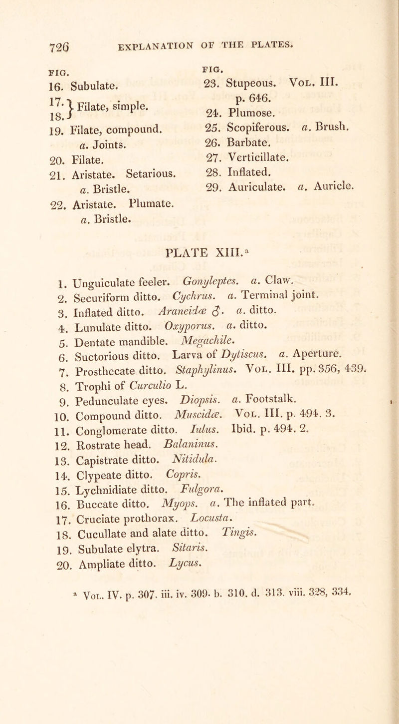 FIG. 16. Subulate. \ Filate, simple. 1SJ 19. Filate, compound. a. Joints. 20. Filate. 21. Aristate. Setarious. a. Bristle. 22. Aristate. Plumate. a. Bristle. FIG. 23. Stupeous. Vol. III. p. 646. 241. Plumose. 25. Scopiferous. a. Brush. 26. Barbate. 27. Verticillate. 28. Inflated. 29. Auriculate. a. Auricle. PLATE XIII.a 1. Unguiculate feeler. Gonyleptes. a. Claw. 2. Securiform ditto. Cychrus. a. Terminal joint. 3. Inflated ditto. Araneidee a. ditto. 4. Lunulate ditto. Oxyporus. a. ditto. 5. Dentate mandible. Megachile. 6. Suctorious ditto. Larva of Dytiscus, a. Apeituie. 7. Prosthecate ditto. Staphylinus. Vol. III. pp. 356, 439. 8. Trophi of Curculio L. 9. Pedunculate eyes. Diopsis. a. Footstalk. 10. Compound ditto. Muscidce. Vol. III. p. 494. 3. 11. Conglomerate ditto. lulus. Ibid. p. 494. 2. 12. Rostrate head. Bcilaninus. 13. Capistrate ditto. Nitidula. 14. Clypeate ditto. Copris. 15. Lychnidiate ditto. Fulgora. 16. Buccate ditto. Myops. a. The inflated part. 17. Cruciate prothorax. Locusta. 18. Cucullate and alate ditto. Tingis. 19. Subulate elytra. Sitaris. 20. Ampliate ditto. Lycus. Vol. IV. p. 307. iii, iv. 309- b. 310. d. 313. viii. 328, 334.