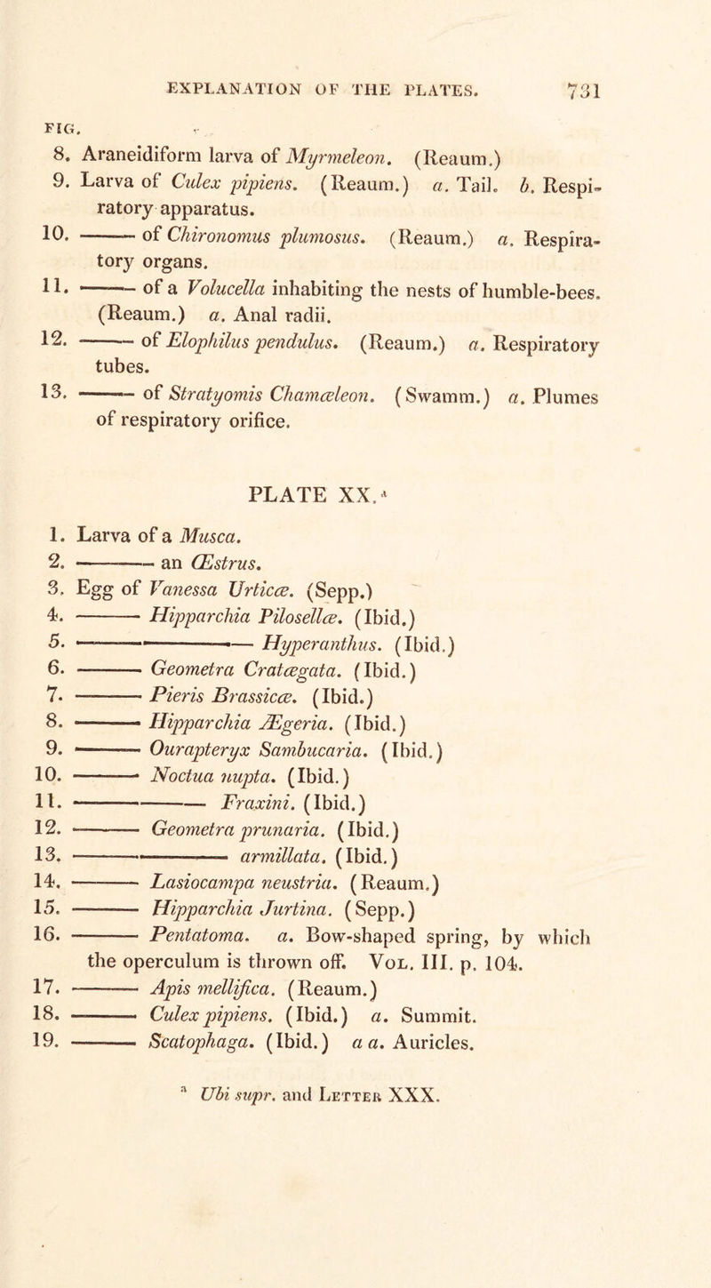 ( 01 FIG. 8. Araneidiform larva of Myrmeleon. (Reaum.) 9. Larva of Culex pipiens. (Reaum.) a. Tail. b. Respi~ ratory apparatus. 10. -—— of Chironomns plumosus. (Reaum.) a. Respira¬ tory organs. 11. —— 0f a Volucella inhabiting the nests of humble-bees. (Reaum.) a. Anal radii. 12. --—ofElophiluspendulus. (Reaum.) a. Respiratory tubes. 13. of Stratyomis Chamceleon. (Swamm.) a. Plumes of respiratory orifice. PLATE XX. * 1. Larva of a Musca. 2. --—— an (Estrus. 3. Egg of Vanessa Urticce. (Sepp.) 4. -— Hipparchia Pilosellce. (Ibid.) 5. —-—.—_____ Hyperanthus. (Ibid.) 6. —- Geometra Cratcegata. (Ibid.) 7. —-- Pieris B7 'assicce. (Ibid.) 8. — - Hippar chia JEgeria. (Ibid.) 9. —_—— Ourapteryx Sambucaria. (Ibid.) 10. -—-■ Noctua nupta. (Ibid.) 11. — -—--—■ Fraxini. (Ibid.) 12. ——— Geometra prunaria. (Ibid.) 13. -•*—-—- armillata. (Ibid.) 14. —-- Lasiocampa neustria. (Reaum.) 15. --— Hipparchia Jurtina. (Sepp.) 16. -- Pentatoma. a. Bow-shaped spring, by which the operculum is thrown off. Vol. III. p. 104. 17. -——- Apis mellifica. (Reaum.) 18. ———- Culexpipiens. (Ibid.) a. Summit. 19. -- Scatophaga. (Ibid.) a a. Auricles. a Ubi supr, and Letter XXX,