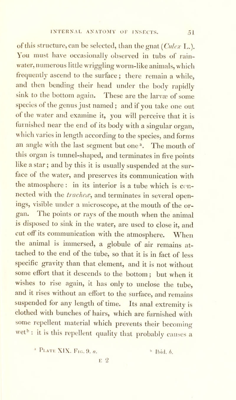 of this structure, can be selected, than the gnat {C/i/r.r L.). ^ oil must have occasionally observed in tubs of rain- water, numerous little wriggling worm-like animals, whicb frequently ascend to tlie surface; there remain a while, and then bending their bead under the body rapidly sink to the bottom again. These are the larvm of some species of the genus just named ; and if you take one out of the water and examine it, you will perceive that it is furnished near the entl of its body with a singular organ, which varies in length according to the species, and forms an angle with the last segment but one^. The mouth of this organ is tunnel-shaped, and terminates in five points like a star; and by this it is usually suspended at the sur- face of the water, and preserves its communication with the atmosphere: in its interior is a tube w hich is cc'u- nccted with the tracliccc, and terminates in several open- ings, visible under a microscope, at the mouth of the or- gan. 1 he points or rays of the mouth when the animal is disjmsed to sink in the water, are used to close it, and cut ofi’its communication with the atmosphere. When the animal is immersed, a globule of air remains at- tached to the end of the tube, so that it is in fact of less specific gravity than that element, and it is not without some effort tliat it descends to the bottom; but when it wishes to rise again, it has only to unclose the tube, and it rises without an effort to the surface, and remains suspended for any length of time. Its anal extremity is clothed w’ith bunches of hairs, wdiich are furnished with some repellent material which prevents their becomim- wet'’; ii is this reiiellent quality that jirobably causes a ‘ Pi.ATi; XIX. Imc,. !). a. i; 2 lliid. h.