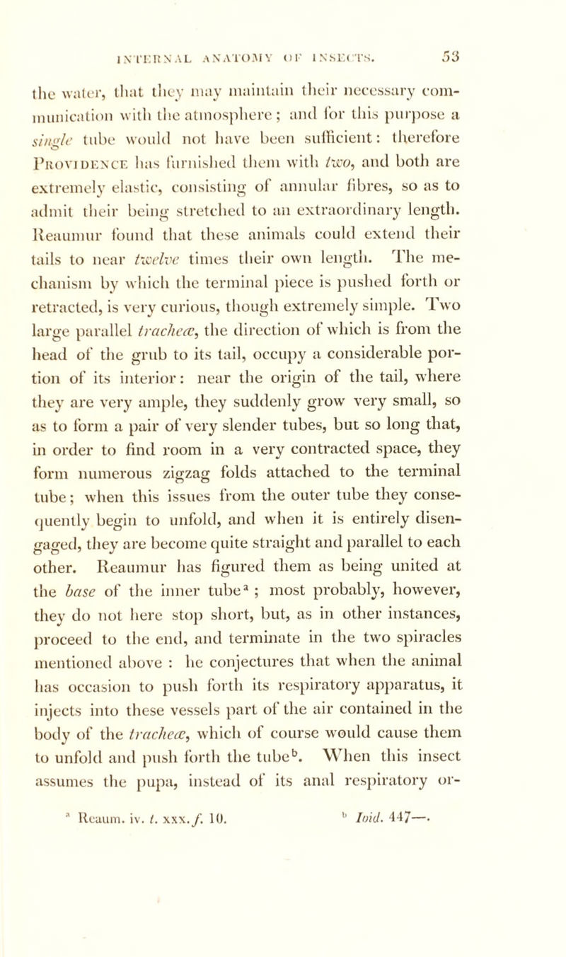 the waliT, that tlic’V may maintain tlieir necessary coni- iniiihcation with the atmosphere; and lor lliis jnirpose a si/ig/c tube would not have been snlHcient: tlierelbre Providence lias lurnished them with /ico, and both are extremely elastic, consisting of annular fibres, so as to admit their being stretcheil to an extraordinary length. Reaumur found that these animals could extend their tails to near ticeh’c times their own length. The me- chanism by which the terminal piece is pushed forth or retracted, is very curious, though extremely simple. Two large parallel trachccc, the direction of which is from the head of the grub to its tail, occupy a considerable por- tion of its interior: near the origin of the tail, where they are very ample, they suddenly grow very small, so as to form a pair of very slender tubes, but so long that, in order to find room in a very conti’acted space, they form numerous zigza folds attached to the terminal tube; when this issues from the outer tube they conse- (juently begin to unfold, and when it is entirely disen- gaged, they are become quite straight and parallel to each other. Reaumur has figured them as being united at the base of the inner tube^ ; most probably, however, they do not here stop short, but, as in other instances, jn-oceed to the end, and terminate in the two spiracles mentioned above : he conjectures that when the animal has occasion to push forth its respiratory apparatus, it injects into these vessels part ol the air contained in the body of the trachea:^ which of course would cause them to unfold and push forth the tube'^. When this insect assumes the {)upa, instead of its anal respiratory or-  Ucuum. iv. 1. XXX./. 10.  Md. 147—