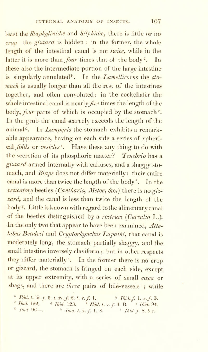 least llio Staphyliuichc ami Silphidtc, there is little or no crop the gizzard is hiclclen : in the t'ornier, the whole Iciiirth of the intestinal canal is not twice, while in the latter it is more than /wo- times that of the bocly^. In these also the intermediate portion of the large intestine is singularly annulatecl^. In the LamcUiconis the sto- mach is usually longer than all the rest of the intestines toffcther, and often convoluted : in the cockchafer the whole intestinal canal is nearly^Vc times the length of the body,yrj?o- parts of which is occu[&gt;ied by the stomach‘d. In the grub the canal scarcely exceeds the length of the animaM. In Lampijris the stomach exhibits a remark- able appearance, having on each side a series of spheri- cal /h/c/s or vesicles^. Have these any thing to do with the secretion of its phosphoric matter? Tenehrio has a gizzard armed internally with calluses, and a shaggy sto- mach, and lilaps does not differ materially; their entire canal is more than twice the length of the body b In the rf’s/ca/wy beetles [Cantharis, Mcloe, See.) there is no zard, and the canal is less than twice the length of the body Little is known with regard to the alimentary canal of the beetles distinguished by a rostrum (Cnrculio L.). In the only two that appear to have been examined, Atte- labus Betuleti and Crjptorhpnchus Lapathi, that canal is moderately long, the stomach partially shaggy, and the small intestine inversely claviform ; but in other respects they differ materially'’. In the former there is no crop or gizzard, the stomach is fringed on each side, except at its upper extremity, with a series of small cccca or shags, and tliere are three pairs of bile-vessels' ; while Ihid. t. iii.y; «. t. iv./. 2. L v.j: 1. I’ I/ml.f. 1. e.f. *■ 122. 'I Ibid. 12.S.  Ibid. /. v. f. n. f Ibid. 94. !»(i . i&gt; Ibid. I. ■&gt;;./. 1. S. ' ' Ihid.J. H. b