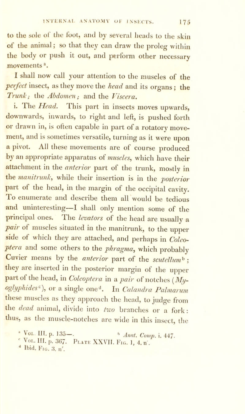 to the sole ol' the foot, uiul by severiil heatls to the skin of the animal; so that they can draw tlie proleg within the body or push it out, and perform other necessary movements I shall now call your attention to the muscles of the ■perfect insect, as they move the head and its organs ; the Trunk; the Abdomen; and the Viscera. i. Ihe Head. This part in insects moves upwards, downwards, inwards, to right and left, is pushed forth or drawn in, is often capable in part of a rotatory move- ment, and is sometimes versatile, turning as it were upon a pivot. All these movements are of course produced by an appropriate apparatus of muscles.^ which have their attachment in the anterior part of the trunk, mostly in the manitriink, while their insertion is in the posterior part of the head, in the margin of the occipital cavity. To enumerate and describe them all would be tedious and uninteresting—I shall only mention some of the principal ones. The levators of the head are usually a pair of muscles situated in the manitrunk, to the upper side of which they are attached, and perhaps in Coleo- ptera and some others to the pJiragina, which probably Cuvier means by the anterior part of the scutellum&gt; ; they ai e inseited in the posterior margin ot the upper part of the head, in Coleoptera in a pair of notches {Mij- ofyphides'^), or a single one'^. In Calandra Palmarum these muscles as they ajiproach the head, to judge from the dead animal, divide into tieo branches or a fork ; thus, as the muscle-notches are wide in tliis insect, the VoL III, p. ],5,5—. h jufif Comp. i. 447. Voi.. III. p. :m]J. XXVII. Fic.. I, 4. n . '* ll)i&lt;l. Fio. a. n'.
