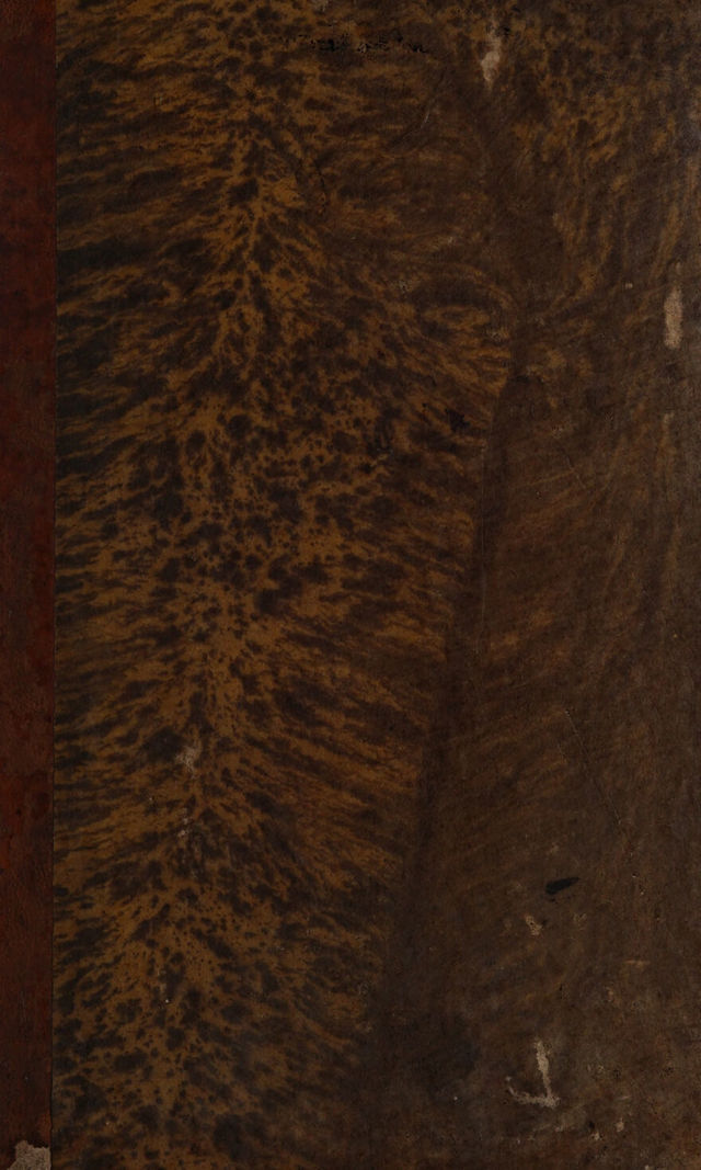 digitised image 1