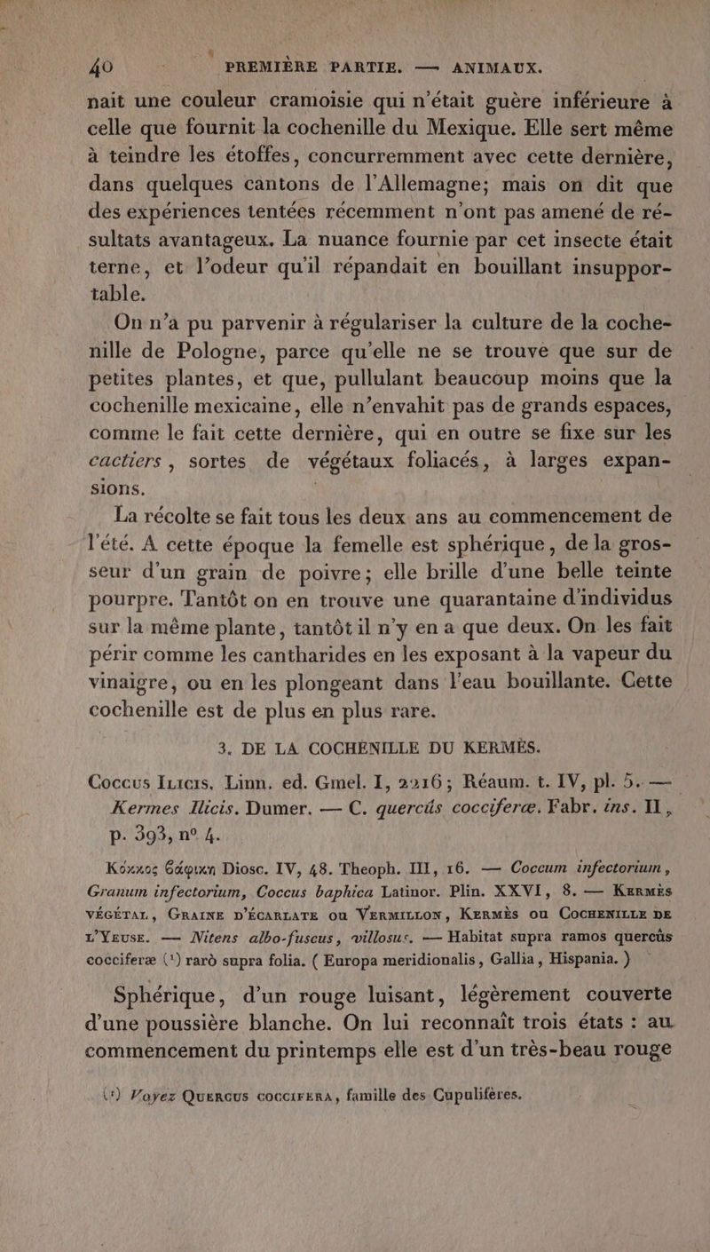 nait une couleur cramoisie qui n'était guère inférieure à celle que fournit la cochenille du Mexique. Elle sert même à teindre les étoffes, concurremment avec cette dernière, dans quelques cantons de l'Allemagne; mais on dit que des expériences tentéès récemment n'ont pas amené de ré- sultats avantageux. La nuance fournie par cet insecte était terne, et l’odeur qu'il répandait en bouillant insuppor- table. On n’a pu parvenir à régulariser la culture de la coche- nille de Pologne, parce qu'elle ne se trouve que sur de petites plantes, et que, pullulant beaucoup moins que la cochenille mexicaine, elle n’envahit pas de grands espaces, comme le fait cette dernière, qui en outre se fixe sur les cactiers , sortes de végétaux foliacés, à larges expan- SIOnS, | | La récolte se fait tous les deux ans au commencement de l'été. À cette époque la femelle est sphérique, de la gros- seur d’un grain de poivre; elle brille d'une belle teinte Pehrpre. Tantôt on en trouve une quarantaine d'individus sur la même plante, tantôt il n’y en a que deux. On les fait périr comme les cantharides en les exposant à la vapeur du vinaigre, ou en les plongeant dans l'eau bouillante. Cette cochenille est de plus en plus rare. 3. DE LA COCHÉNILLE DU KERMÉS. Coccus Izrcis, Linn. ed. Gmel. 1, 2216; Réaum. t. IV, pl. 5. — Kermes Iicis. Dumer. — C. quercüs cocciferæ. Fabr. ins. II, p. 393, n° 4. Koxxos Gdgixn Diosc. IV, 48. Theoph. III, 16. — Coccum infectorium, Granum infectorium, Coccus baphica Latinor. Plin. XXVI, 8. — Kermës VÉGÉTAL, GRAINE D'ÉCARLATE ou VERMILLON, KeRMÈs ou COCHENILLE DE L'YEuse. — Nitens albo-fuscus, villosus. — Habitat supra ramos quercüs cocciferæ (1) rard supra folia. ( Europa meridionalis, Gallia, Hispania. } Sphérique, d’un rouge luisant, légèrement couverte d’une poussière blanche. On lui reconnait trois états : au commencement du printemps elle est d’un très-beau rouge {r) Voyez Quercus coccirerA, famille des Cupulifères.