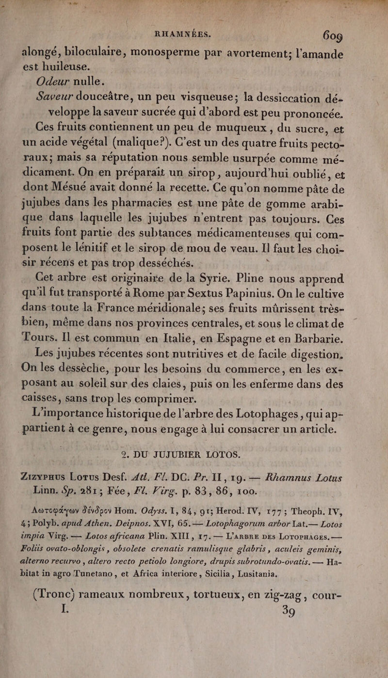 alongé, biloculaire, monosperme par avortement; l'amande est huileuse. Odeur nulle. Saveur douceâtre, un peu visqueuse; la dessiccation dé- veloppe la saveur sucrée qui d’abord est peu prononcée. Ces fruits contiennent un peu de muqueux, du sucre, et un acide végétal (malique?). C’est un des quatre fruits pecto- raux; Mais sa réputation nous semble usurpée comme mé- tons, Onen préparaït un sirop, aujourd’ hui oublié, et dont Mésué avait donné la recette. Ce qu’on nomme pâte de jujubes dans les pharmacies est une pâte de gomme arabi- que dans laquelle les jujubes n’entrent pas toujours. Ces fruits font partie des subtances médicamenteuses qui com- posent le lénitif et le sirop de mou de veau. Il faut les choi- sir récens et pas trop desséchés. j Cet arbre est originaire de la Syrie. Pline nous apprend qu'il fut transporté à Rome par Sextus Papinius. On le cultive dans toute la France méridionale; ses fruits mürissent très- bien, même dans nos provinces centrales, et sous le climat de Tours. Il est commun en Italie, en Espagne et en Barbarie. Les jujubes récentes sont nutritives et de facile digestion. On les dessèche, pour les besoins du commerce, en La ex- posant au soleil sur des claies, puis on les pu dans des caisses, sans trop les comprimer. L'importance historique de l’arbre des Lotophages, qui ap- partient à ce genre, nous engage à lui consacrer un article. 2. DU JUJUBIER LOTOS. Zizvraus Lorus Desf. 44. F1. DC. Pr. II, 19.— Rhamnus Lotus Linn. Sp. 281; Fée, F1 Vire. p. 83, 86, 100 Aowroodyey dévdpoy Hom. Odyss, I, 84, 91; Herod. IV, 197; Theoph. IV, 4; Polyb. apud Athen. Deipnos. XVI, 65. Lotophagorum arbor Lat.— Lotos impia Nirg. — Lotos africana Plin. XIII, 17.— L’ARBRE DES LOTOPHAGES. — Folus ovato-oblongis , obsolete crenatis ramulisque glabris, aculeis geminis, alterno recurvo , altero recto petiolo longiore, drupis subrotundo-ovatis. — Ha- bitat in agro Tunetano , et Africa interiore, Sicilia, Lusitania, (Tronc) rameaux nombreux, tortueux, en zig-zag, cour- LÉ 39