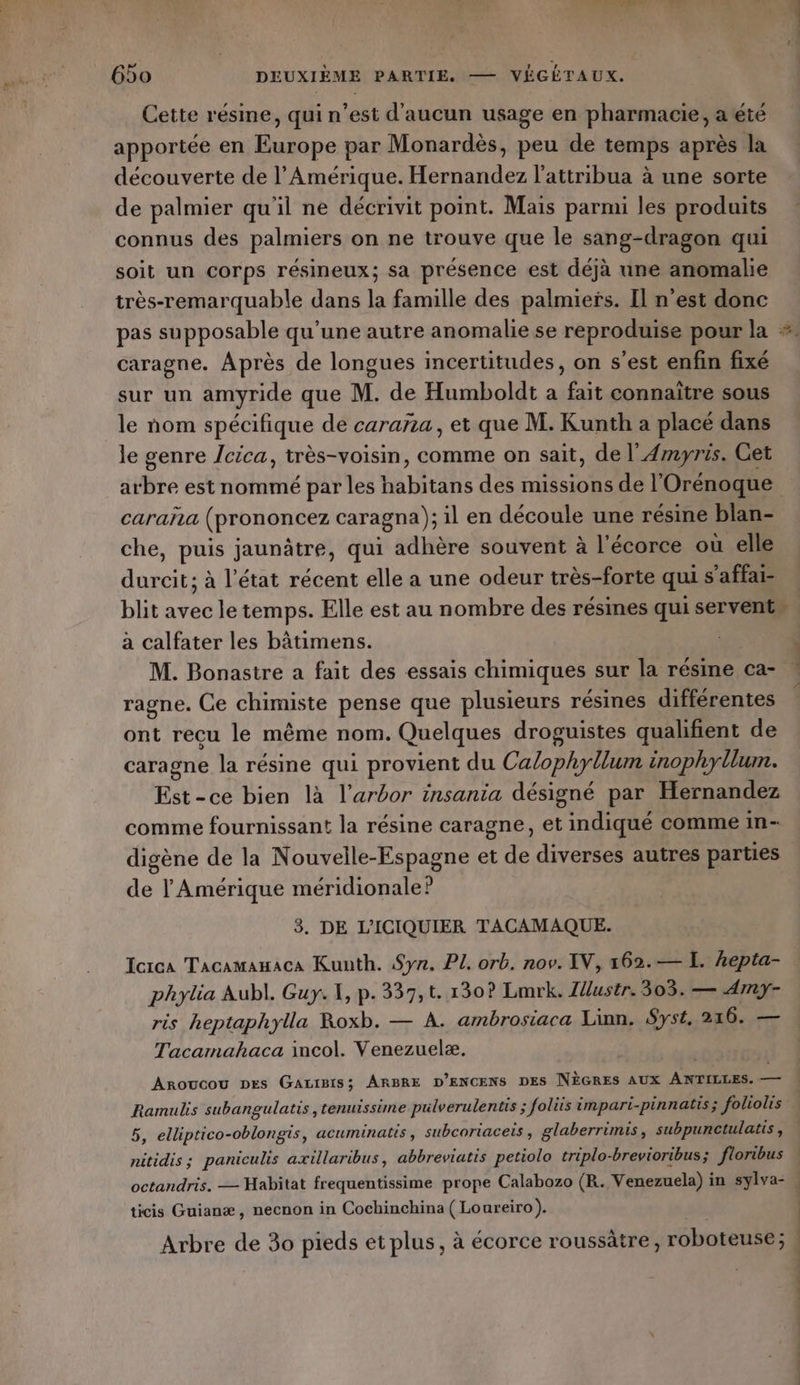 dr HÉRES : » 650 DEUXIÈME PARTIE. — VÉGÉTAUX. Cette résine, qui n’est d'aucun usage en pharmacie, a été apportée en Europe par Monardès, peu de temps après la découverte de l'Amérique. Hernandez l’attribua à une sorte de palmier qu'il ne décrivit point. Mais parmi les produits connus des palmiers on ne trouve que le sang-dragon qui soit un corps résineux; sa présence est déjà une anomalie très-remarquable dans la famille des palmiers. Il n’est donc pas supposable qu'une autre anomalie se reproduise pour la caragne. Après de longues incertitudes, on s’est enfin fixé sur un amyride que M. de Humboldt a fait connaïtre sous le nom spécifique de caraña, et que M. Kunth a placé dans le genre cica, très-voism, comme on sait, de l'Amyris. Get de caraña (prononcez caragna); il en découle une résine blan- che, puis jaunâtre, qui adhère souvent à l'écorce où elle durcit; à l’état récent elle a une odeur très-forte qui s'affai= à calfater les bâtimens. M. Bonastre a fait des essais chimiques sur la résine ca- ragne. Ce chimiste pense que plusieurs résines différentes ont recu le même nom. Quelques droguistes qualifient de caragne la résine qui provient du Calophyllum inophyllum. Est-ce bien là l’arbor insania désigné par Hernandez comme fournissant la résine caragne, et indiqué comme in- digène de la Nouvelle-Espagne et de diverses autres parties de l Amérique méridionale? 3. DE L’ICIQUIER TACAMAQUE. Icrca Tacamamaca Kunth. Sy. PL orb. nov. IV, x62.— IL. hepta- phylia Aubl. Guy. 1, p. 337,t. 130? Lmrk. Iustr. 303. — Amy- ris heptaphylla Roxb. — À. ambrosiaca Linn. Syst 216. — Tacarmahaca incol. Venezuelæ. Aroucou DEs GALIBIS; ARBRE D’ENCENS DES NÈGRES AUX ANTILLES. — Ramulis subangulatis ,tenuissime pulverulentis ; foliis imparti-pinnatis; foliolis | nitidis; paniculis axillaribus, abbreviatis petiolo triplo-brevioribus; floribus octandris. — Habitat frequentissime prope Calabozo (R. Venezuela) in sylva- ticis Guianæ, necnon in Cochinchina ( Loureiro). Arbre de 30 pieds et plus, à écorce roussâtre , roboteuse ; | eh