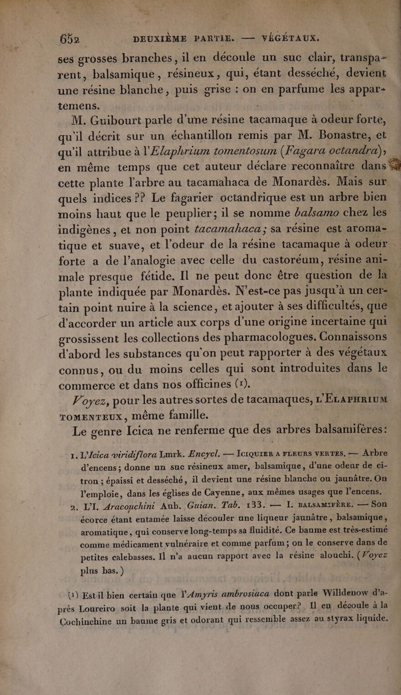 Ca *$ ha 652 DEUXIÈME PARTIE. — VÉGÉTAUX. ses grosses branches, il en découle un suc clair, transpa- rent, balsamique, résineux, qui, étant desséché, devient une résine blanche, puis grise : on en parfume les appar- temens. | dE M. Guibourt parle d’une résine tacamaque à odeur forte, qu'il décrit sur un échantillon remis par M. Bonastre, et qu'il attribue à l'EÆlaphrium tomentosum (Fagara octandra), cette plante l'arbre au tacamahaca de Monardès. Mais sur quels indices ?P Le fagarier octandrique est un arbre bien moins haut que le peuplier; il se nomme ba/samo chez les indigènes , el non point {acamahaca; sa résine est aroma- forte a de l’analogie avec celle du castoréum, résine ani- male presque fétide. Il ne peut donc être question de la , ° d’ e 0 . ns d'accorder un article aux corps d'une origine incertaine qui grossissent les collections des pharmacologues. Connaissons d’abord les substances qu'on peut rapporter à des végétaux connus, ou du moins celles qui sont introduites dans le commerce et dans nos officines (x). Voyez, pour les autres sortes de tacamaques, L'ELarsrium TOMENTEUX, même famille. Le genre Icica ne renferme que des arbres balsannfères : 1. L’Icica viridiflora Lmrk. Encycl. — IcIQUIER À FLEURS VERTES, — Arbre d’encens ; donne un suc résineux amer, balsamique, d’une odeur de ci- tron ; épaissi et desséché, il devient une résine blanche ou jaunâtre. On l’emploie, dans les églises de Cayenne, aux mêmes usages que l’encens. 2. L’I. Aracouchini Aub. Guian. Tab. 133. — I. BALSAMIFÈRE. — Son écorce étant entamée laisse découler une liqueur jaunâtre, balsamique, aromatique, qui conserve long-temps sa fluidité. Ce baume est très-estime comme médicament vulnéraire et comme parfum; on le conserve dans de petites calebasses. Il n’a aucun rapport avec la résine alouchi. (Voyez plus bas.) (1) Estil bien certain que l4myris ambrosiaca dont parle Willdenow d’a- près Loureiro soit la plante qui vient de nous occuper? Il en découle à la Cochinchine un baume gris et odorant qui ressemble assez au styrax liquide,