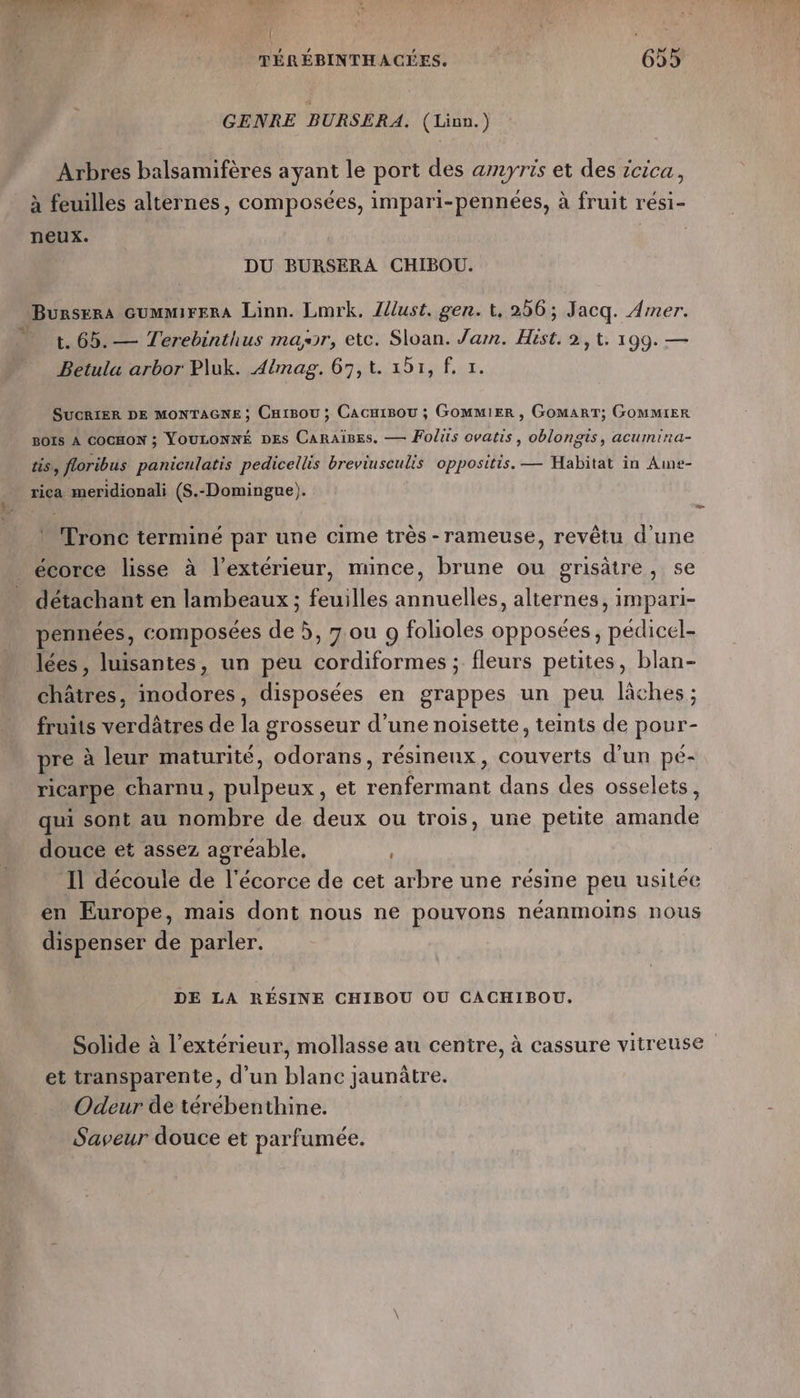 { j TÉRÉBINTHACÉES. 655 GENRE BURSERA. (Linn.) Arbres balsamifères ayant le port des amyris et des icica, à feuilles alternes, composées, impari-pennées, à fruit rési- neux. DU BURSERA CHIBOU. Bunsera GummMirerA Linn. Lmrk. Just. gen. t, 256; Jacq. Amer. t. 65. — Terebinthus mar, etc. Sloan. Jam. Hist. 2, t. 199. — Betula arbor Pluk. Aimag. 67,1. 191, f. 1. SUCRIER DE MONTAGNE ; CtBoU ; CACHIBOU ; GOMMIER , GOMART; GOMMIER BOIS A COCHON ; VOULONNÉ DEs CaRAiBEs. — Folits ovatis, oblongis, acumina- us, floribus paniculatis pedicellis breviusculis oppositis. — Habitat in Ame- rica meridionali (S.-Domingue). L Pronc terminé par une cime très -rameuse, revêtu d'une écorce lisse à l'extérieur, mince, brune ou grisätre, se détachant en lambeaux ; feuilles annuelles, alternes, impari- pennées, composées de 5, 7ou 9 folioles opposées, pédicel- lées, luisantes, un peu cordiformes ; fleurs petites, blan- châtres, inodores, disposées en grappes un peu lâches ; fruits verdâtres de la grosseur d’une noisette, teints de pour- pre à leur maturité, odorans, résinenx, couverts d’un pé- ricarpe charnu, pulpeux, et renfermant dans des osselets, qui sont au nombre de deux ou trois, une petite amande douce et assez agréable, 5 U Il découle de l'écorce de cet arbre une résine peu usitée en Europe, mais dont nous ne pouvons néanmoins nous dispenser de parler. DE LA RÉSINE CHIBOU OU CACHIBOU. Solide à l'extérieur, mollasse au centre, à cassure vitreuse et transparente, d'un blanc jaunûtre. Odeur de térebenthine. Saveur douce et parfumée.