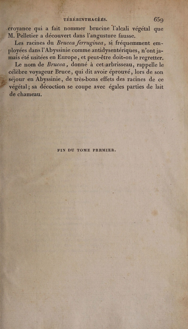 croyance qui à fait nommer brucine l'alcali végétal que x M. Pelletier a découvert dans l'angusture fausse. Les racines du Brucea ferruginea, si MU tt em- ployées dans l’Abyssinie comme antidysentériques, n’ont ja- mais été usitées en Europe, et peut-être doit-on le regretter. Le nom de Brucea, donné à cetsarbrisseau, rappelle le célèbre voyageur Bruce, qui dit avoir éprouvé, ‘hp de son séjour en Abyssinie, di très-bons effets des racines de ce végétal ; sa décoction se coupe avec égales parties de lait de chameau. | FIN DU TOME PRHMIER.