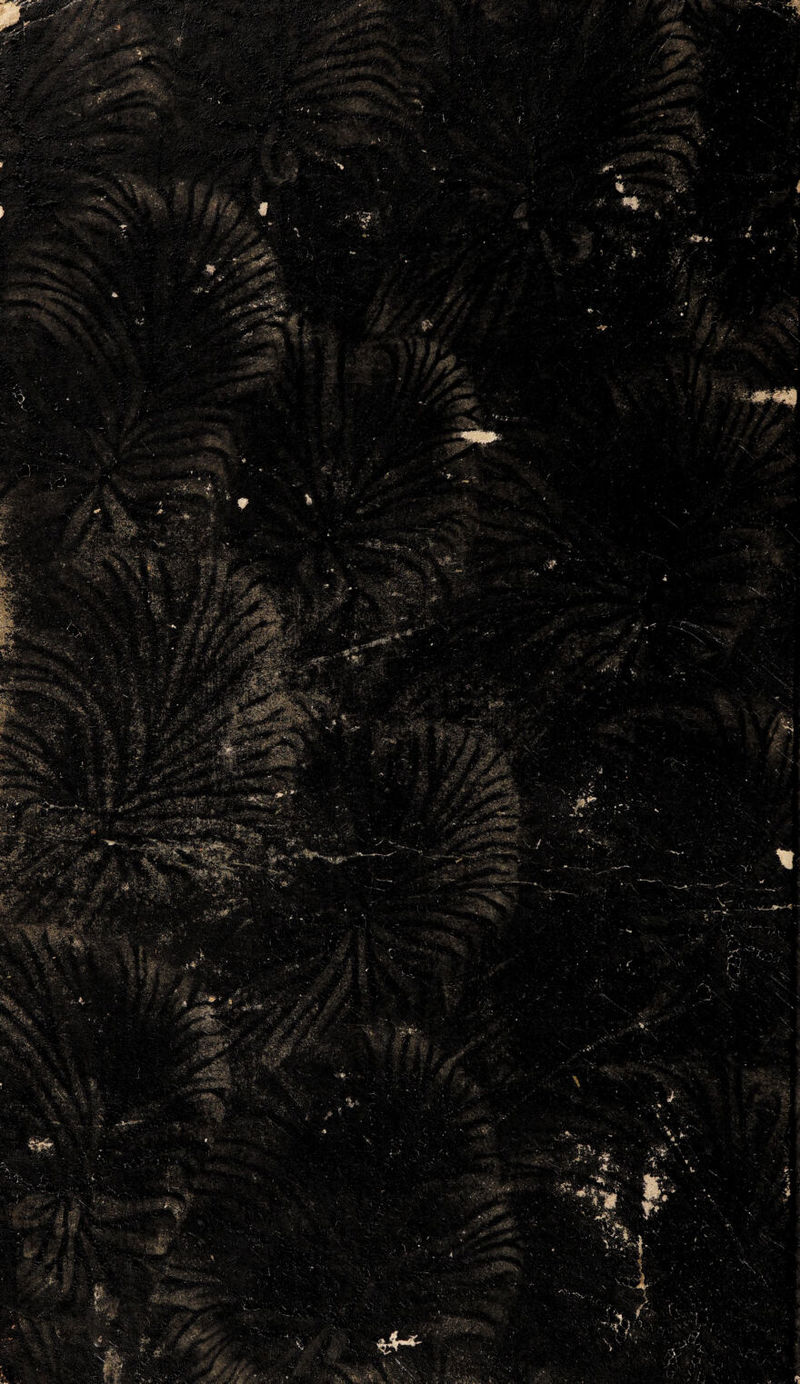 No text description is available for this image