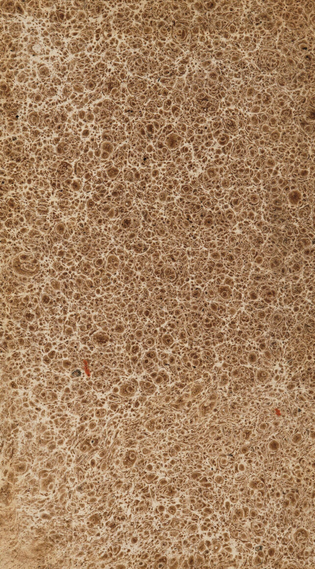 digitised image 2