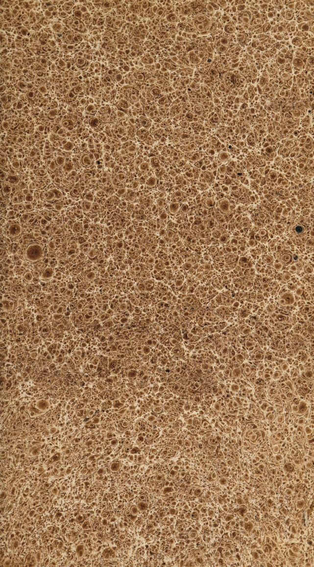 digitised image 3