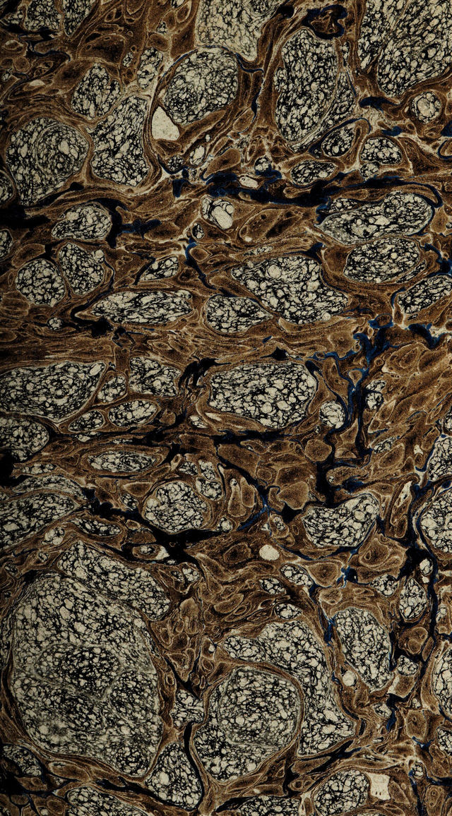 digitised image 3